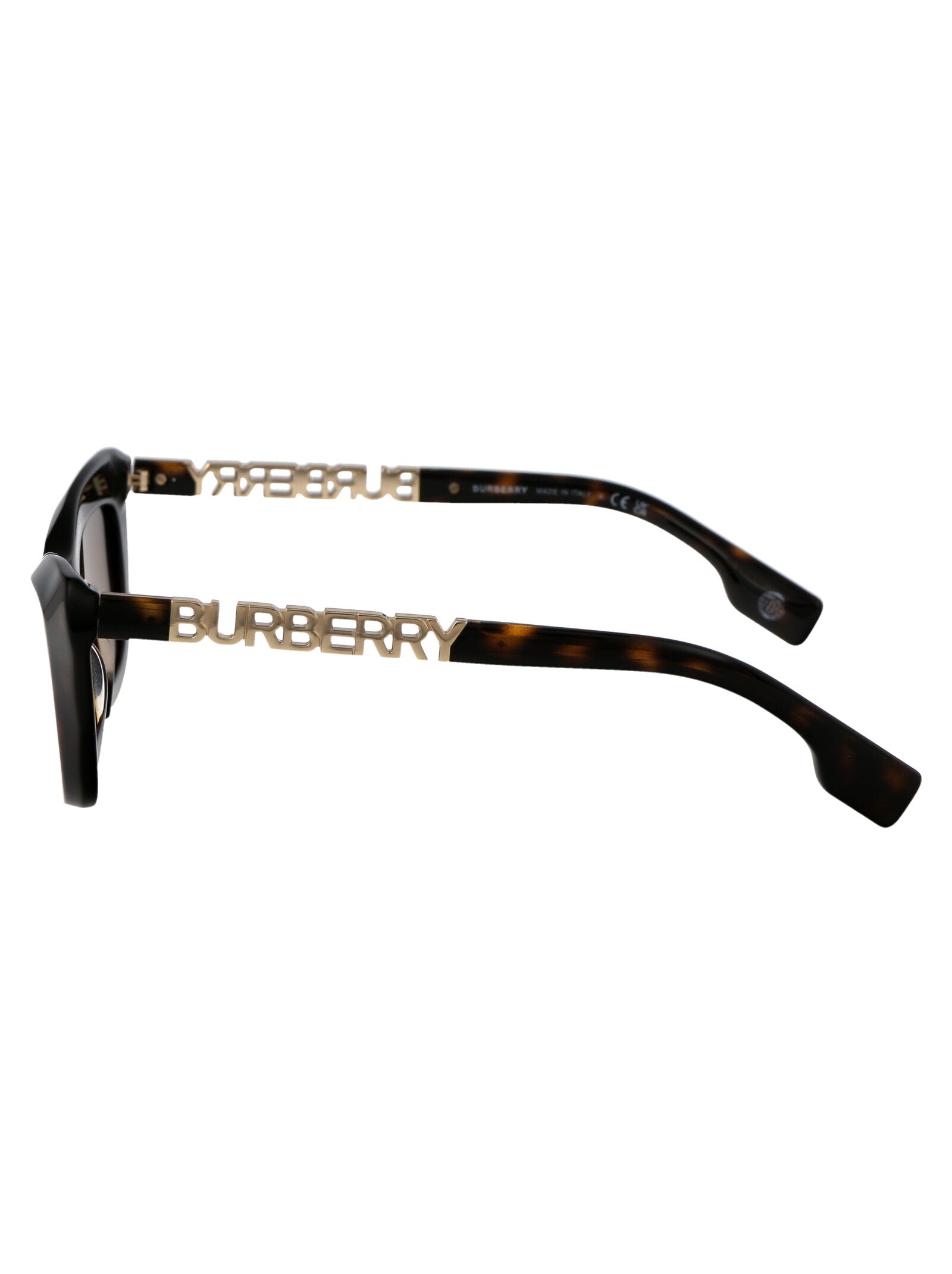 BURBERRY Chic Acetate Sunglasses