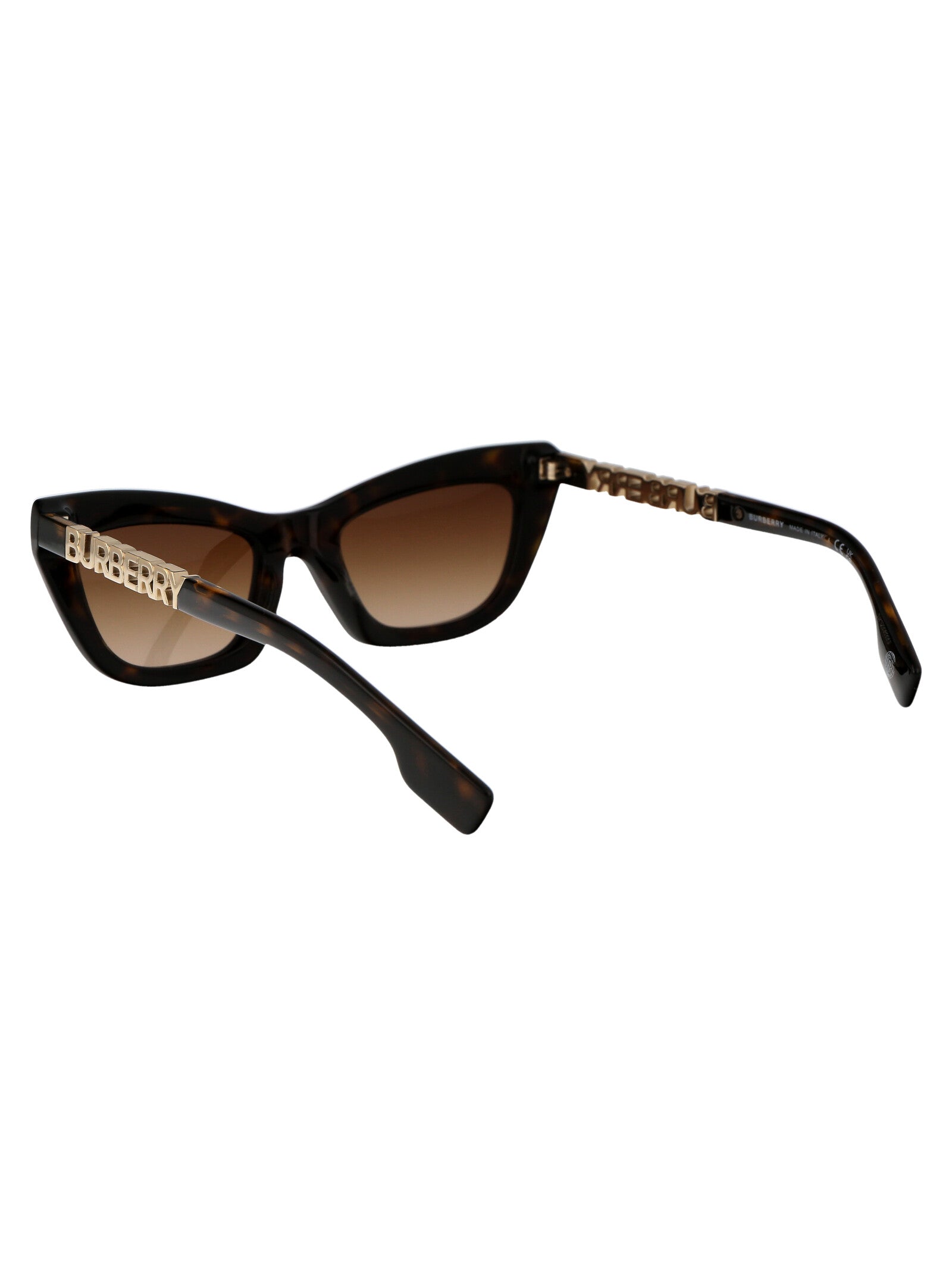 BURBERRY Chic Acetate Sunglasses