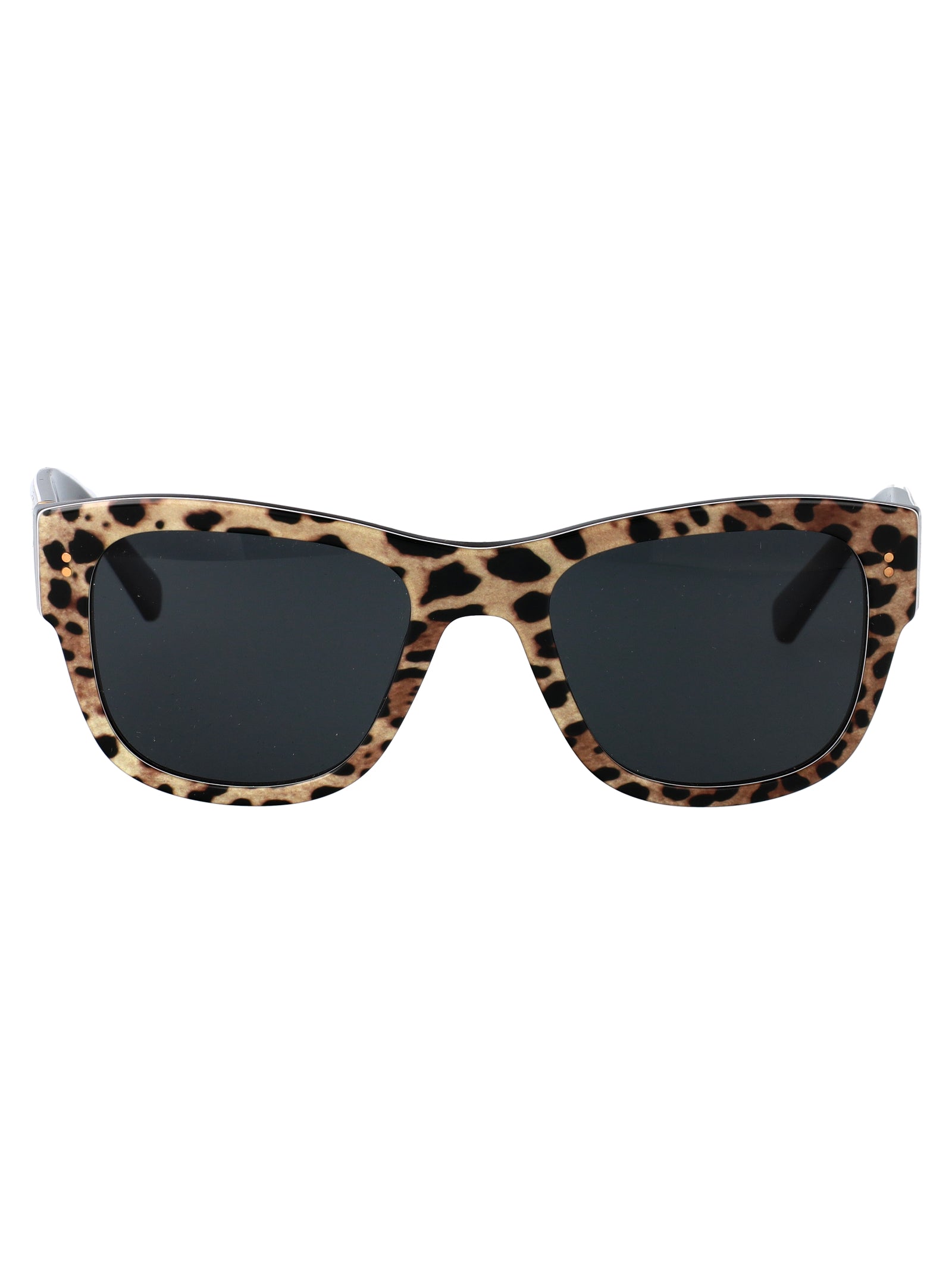 DOLCE & GABBANA Leopard Print Acetate Sunglasses for Men