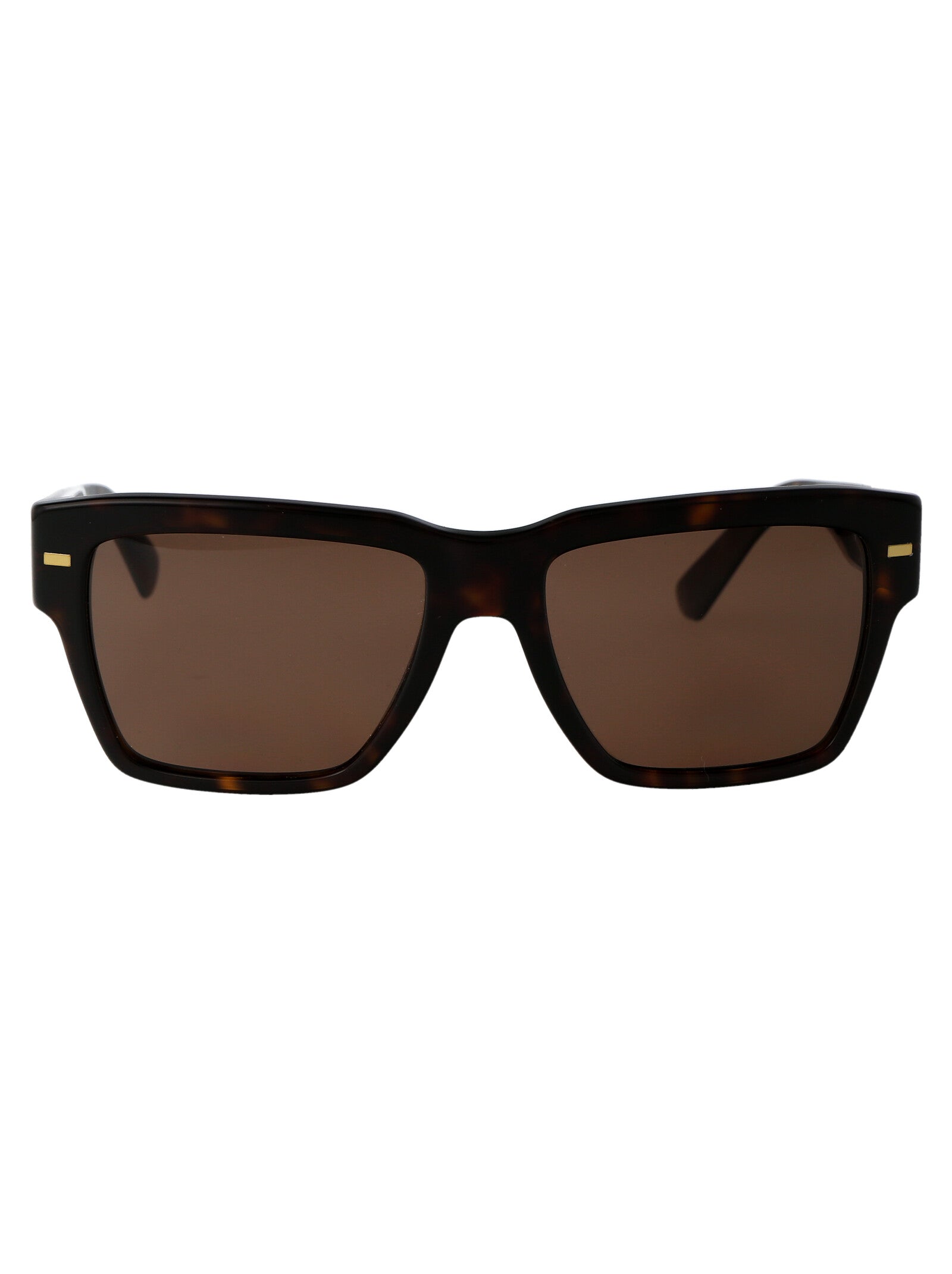 DOLCE & GABBANA Men's Havana Acetate Sunglasses - SS25 Collection