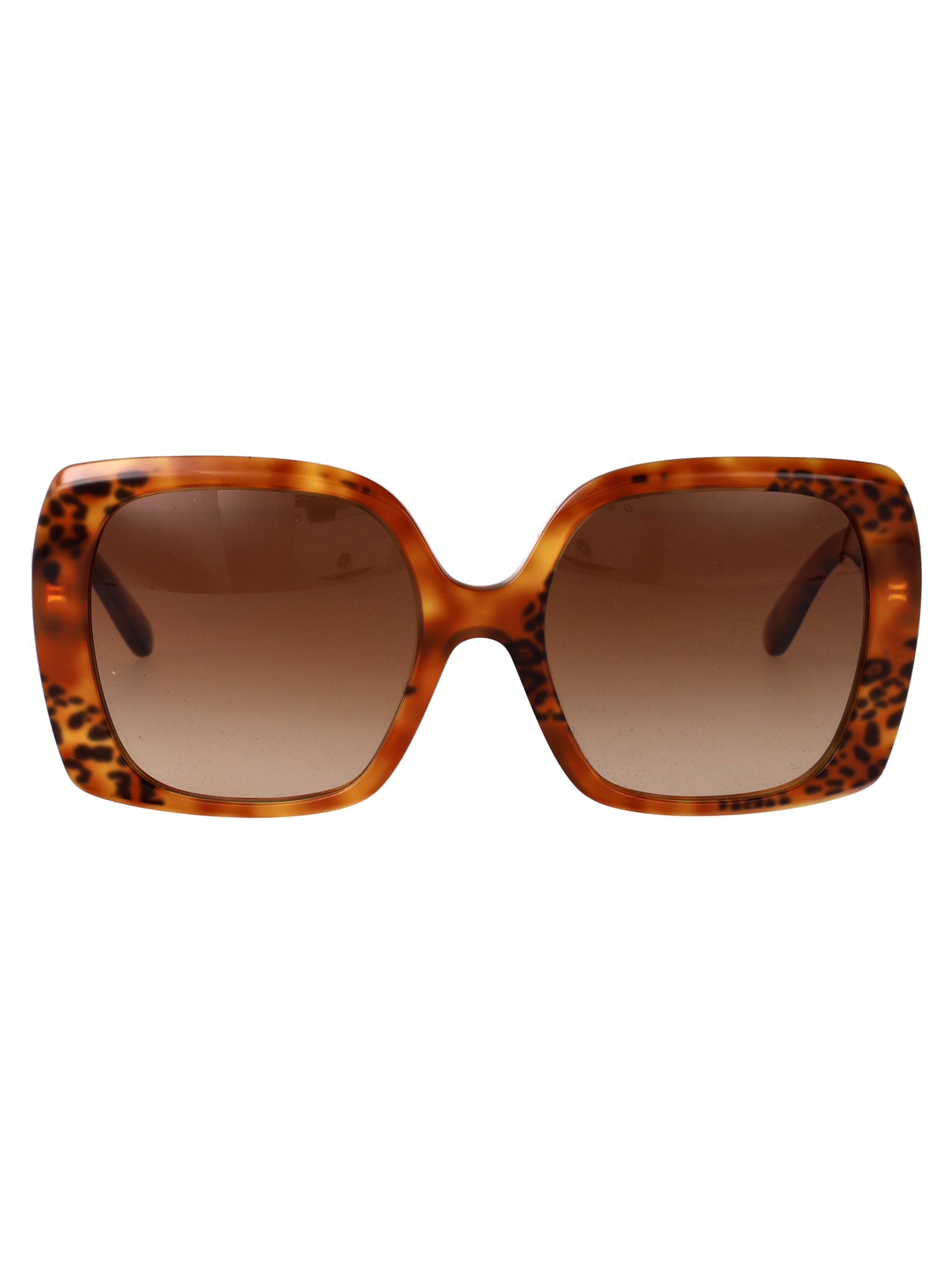 DOLCE & GABBANA Havana Leo Acetate Sunglasses for Women