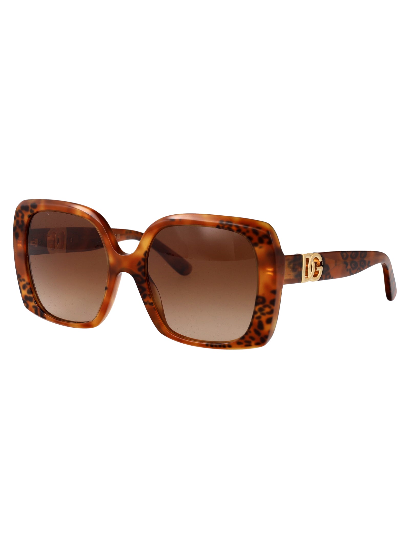 DOLCE & GABBANA Havana Leo Acetate Sunglasses for Women