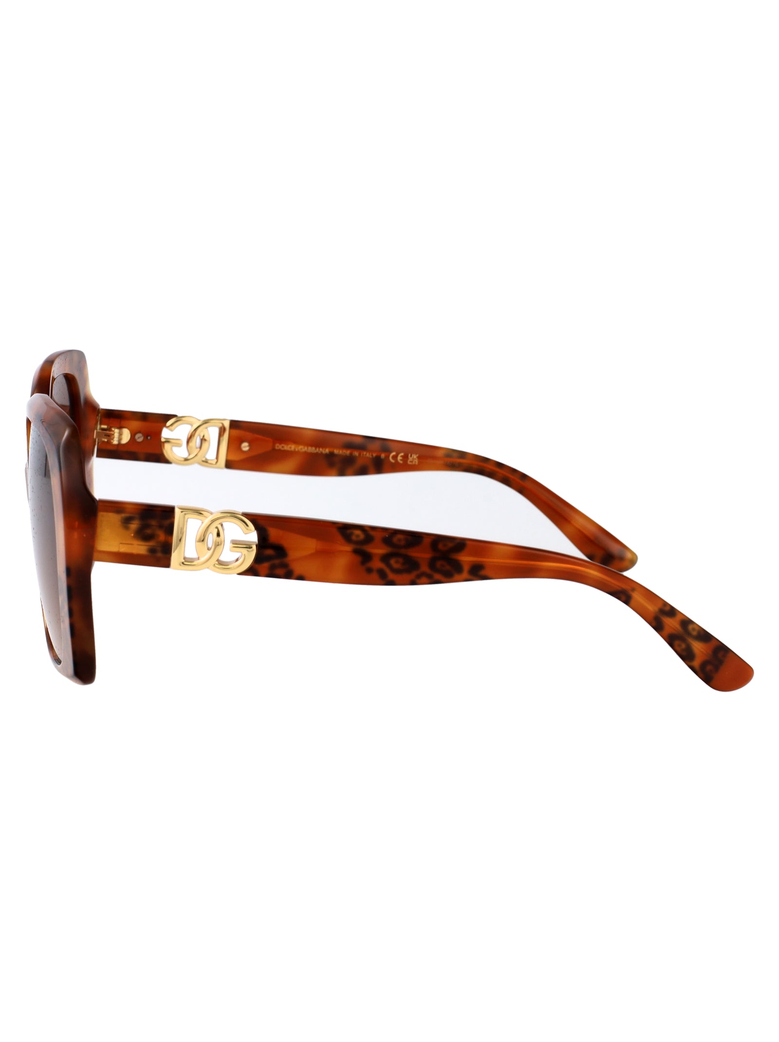 DOLCE & GABBANA Havana Leo Acetate Sunglasses for Women