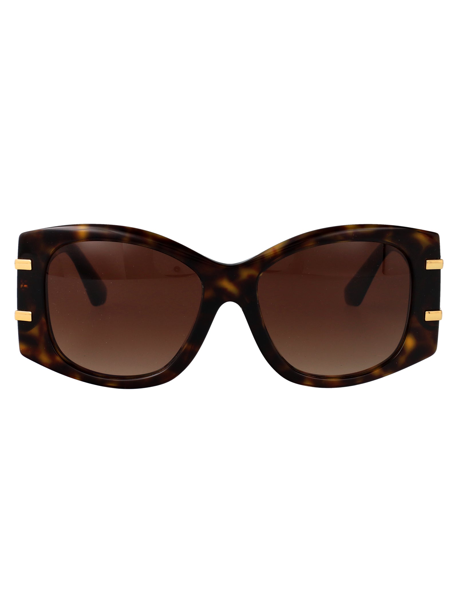DOLCE & GABBANA Chic Havana Mini Acetate Sunglasses for Women