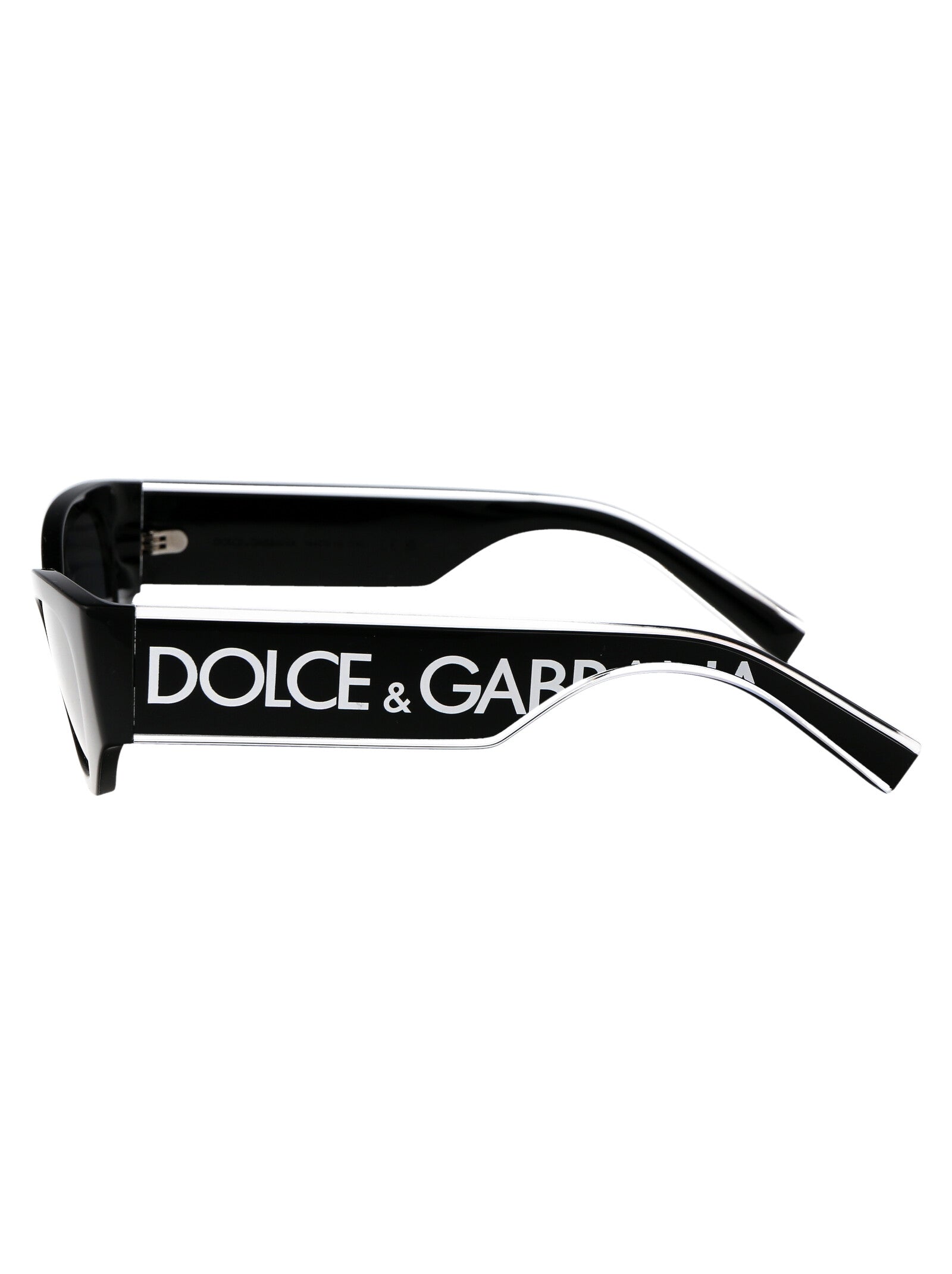 DOLCE & GABBANA Injected Women's Sunglasses