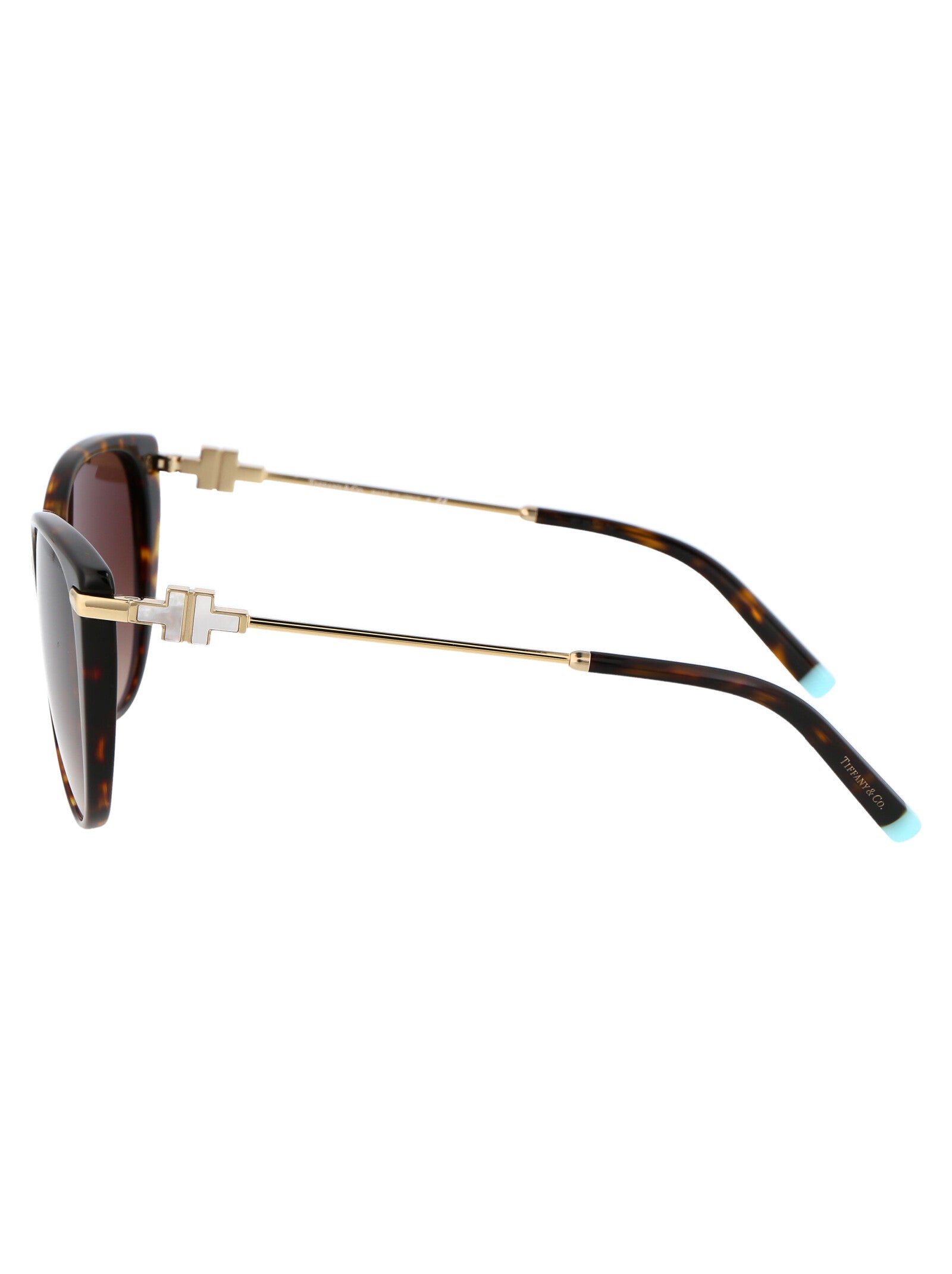 TIFFANY & CO Chic Acetate Sunglasses for Women - SS25 Collection