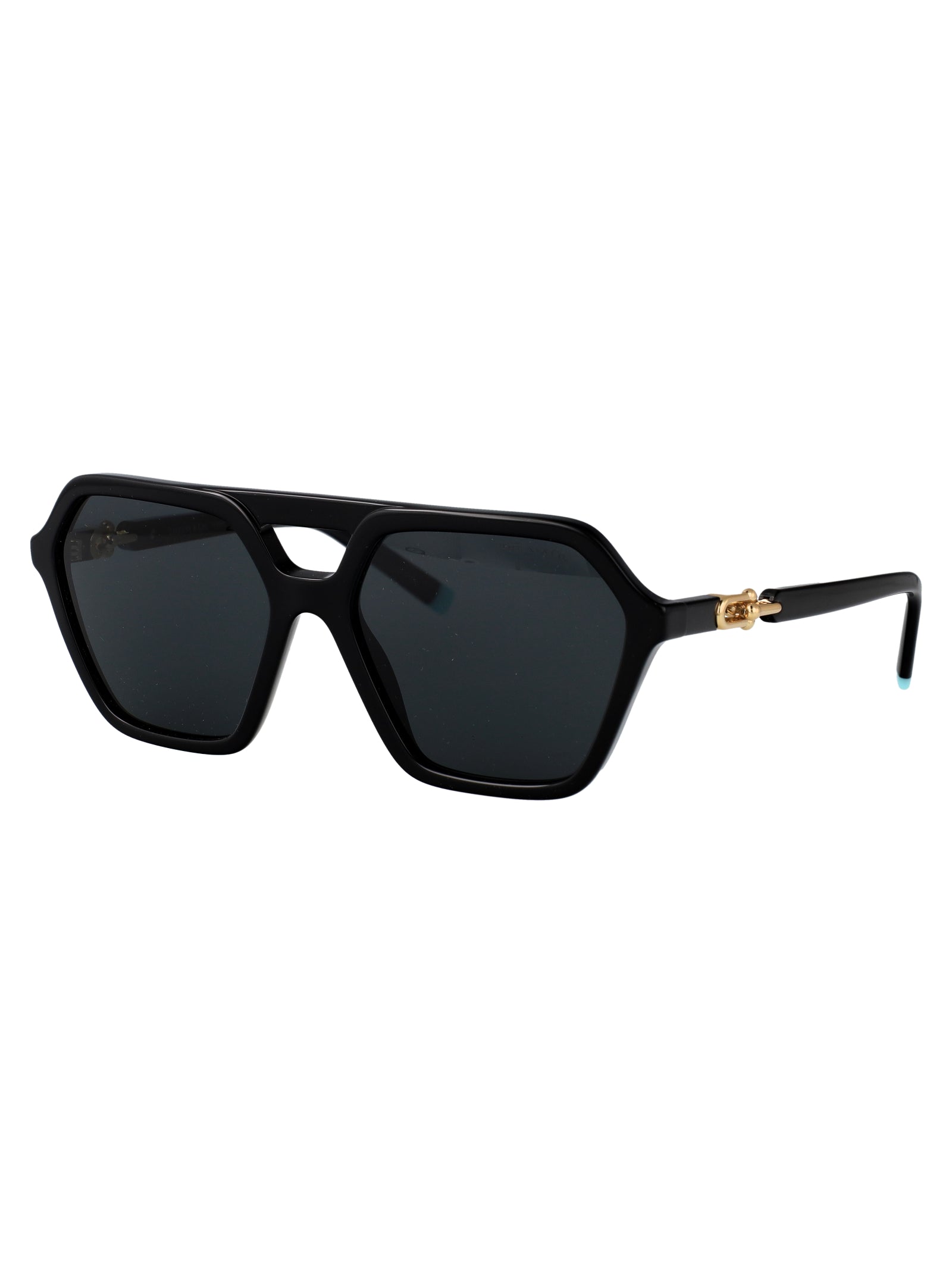 TIFFANY & CO Chic Acetate Sunglasses for Women