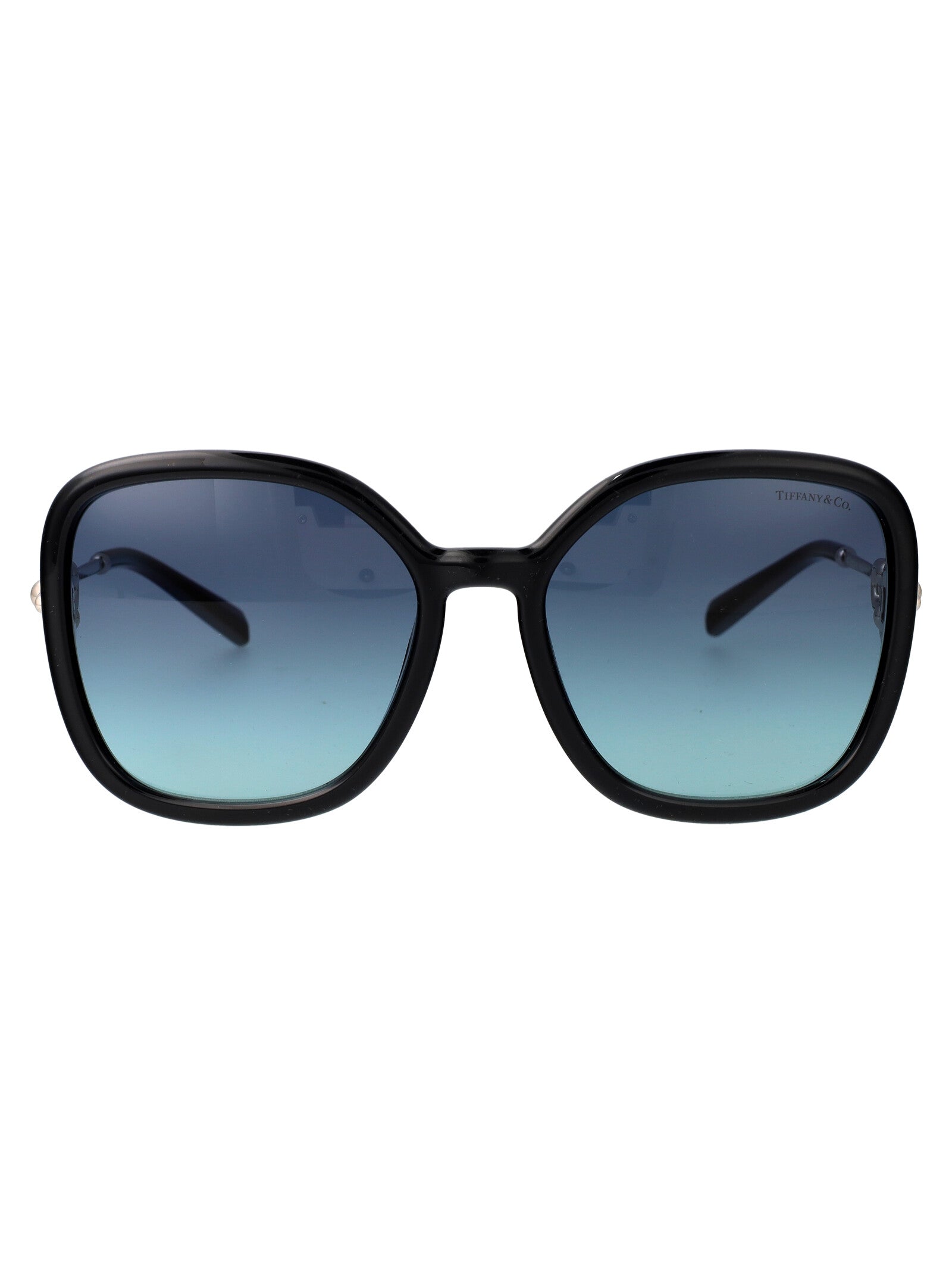 TIFFANY & CO Chic Injected Sunglasses for Women - SS25 Collection