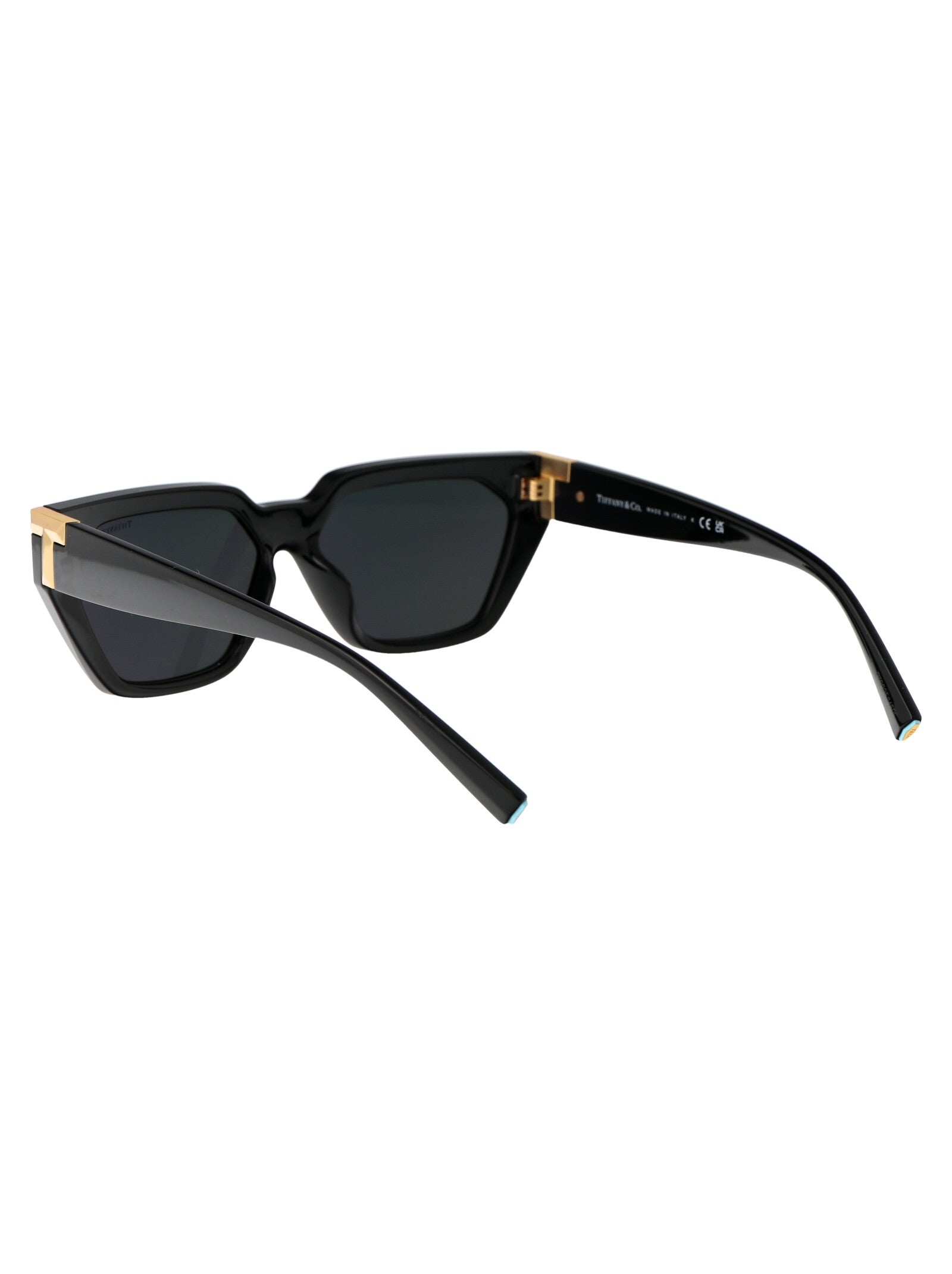 TIFFANY & CO Injectable Women's Sunglasses