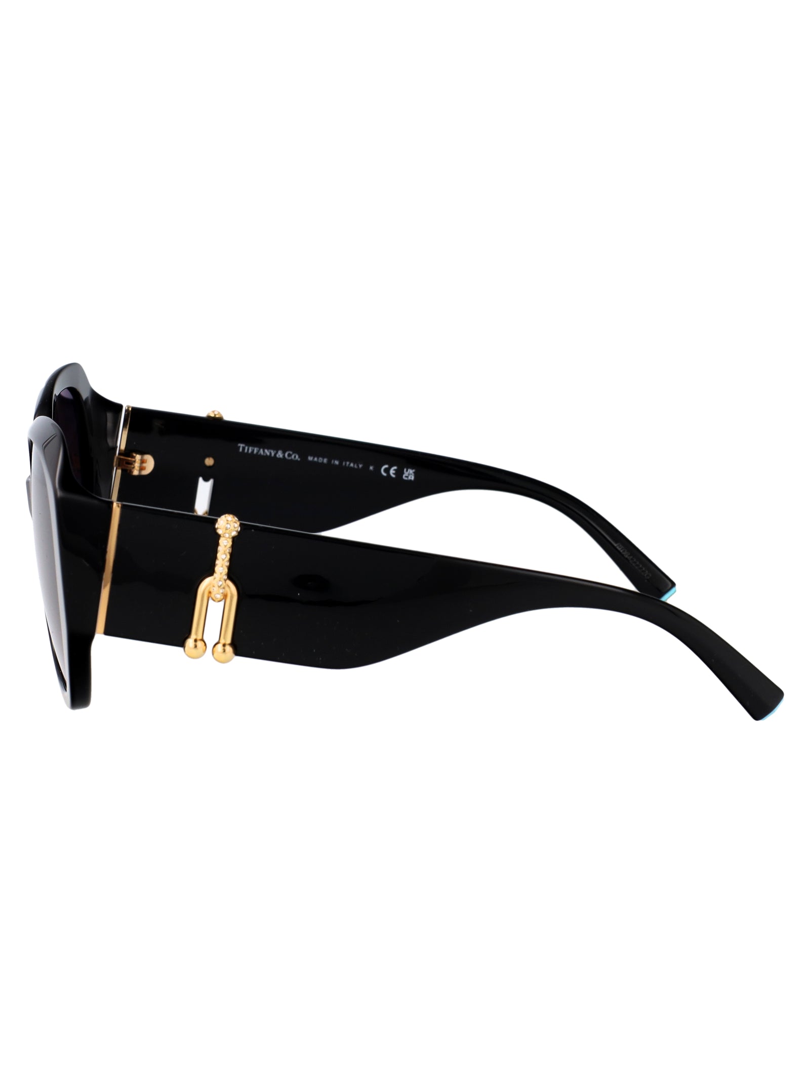 TIFFANY & CO Chic Acetate Sunglasses for Women