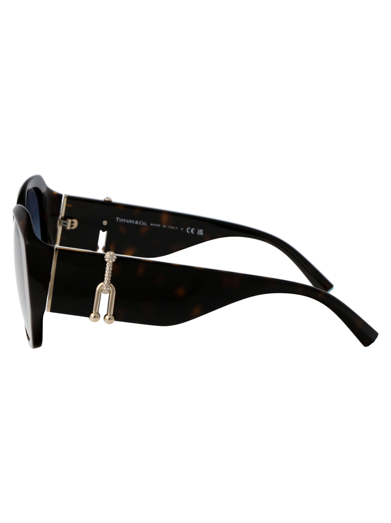 TIFFANY & CO Chic Acetate Sunglasses for Women