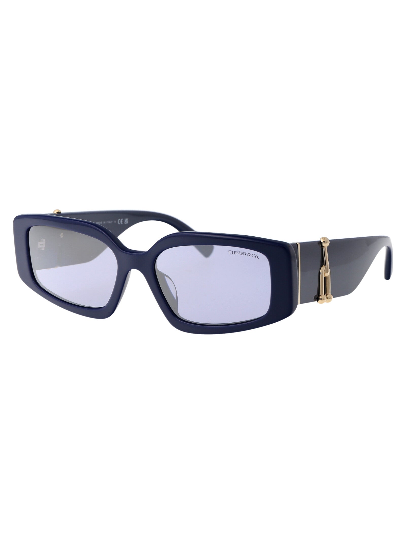 TIFFANY & CO Stylish Acetate Sunglasses for Women - SS25 Collection