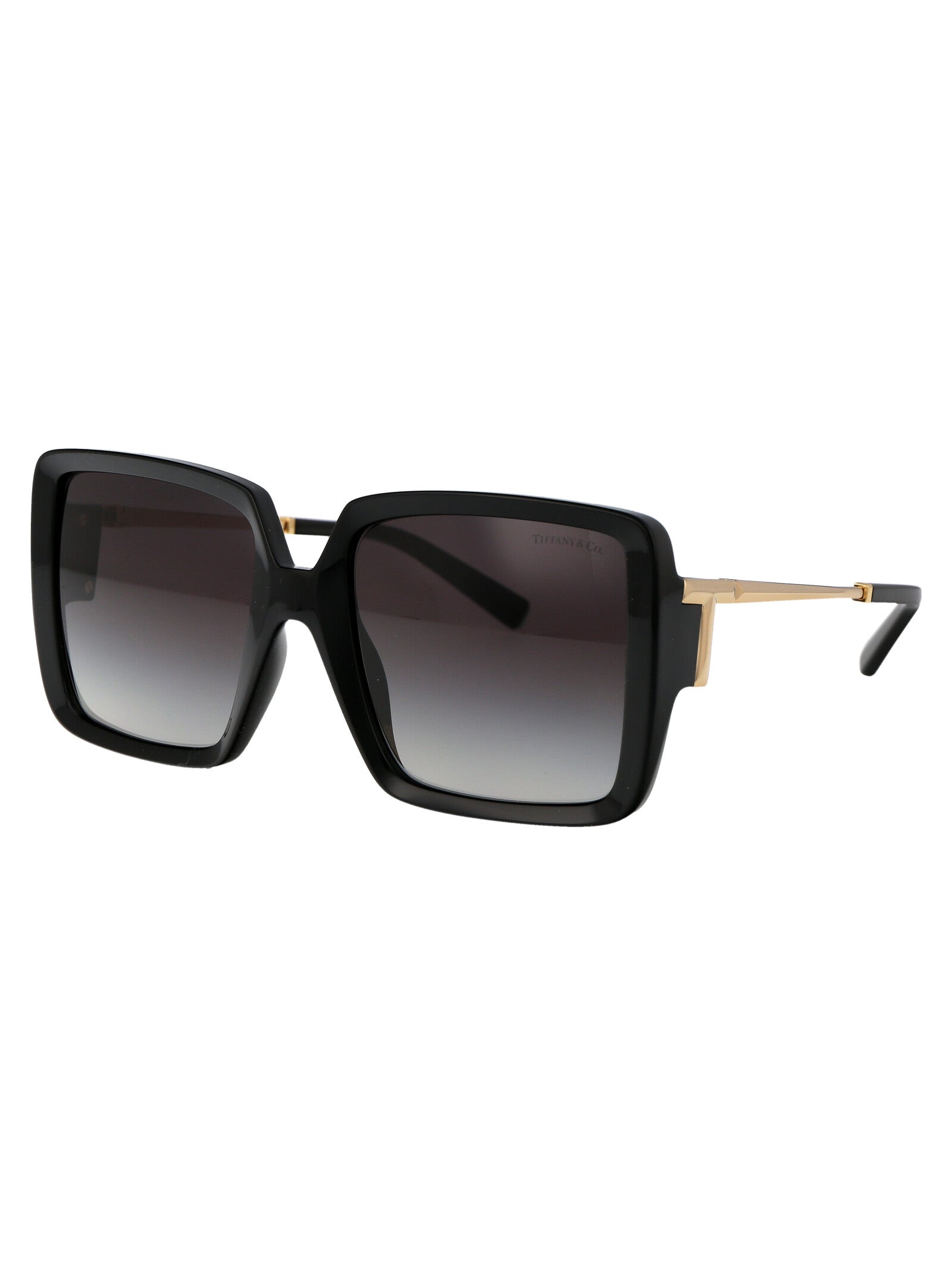 TIFFANY & CO Injected Women's Sunglasses