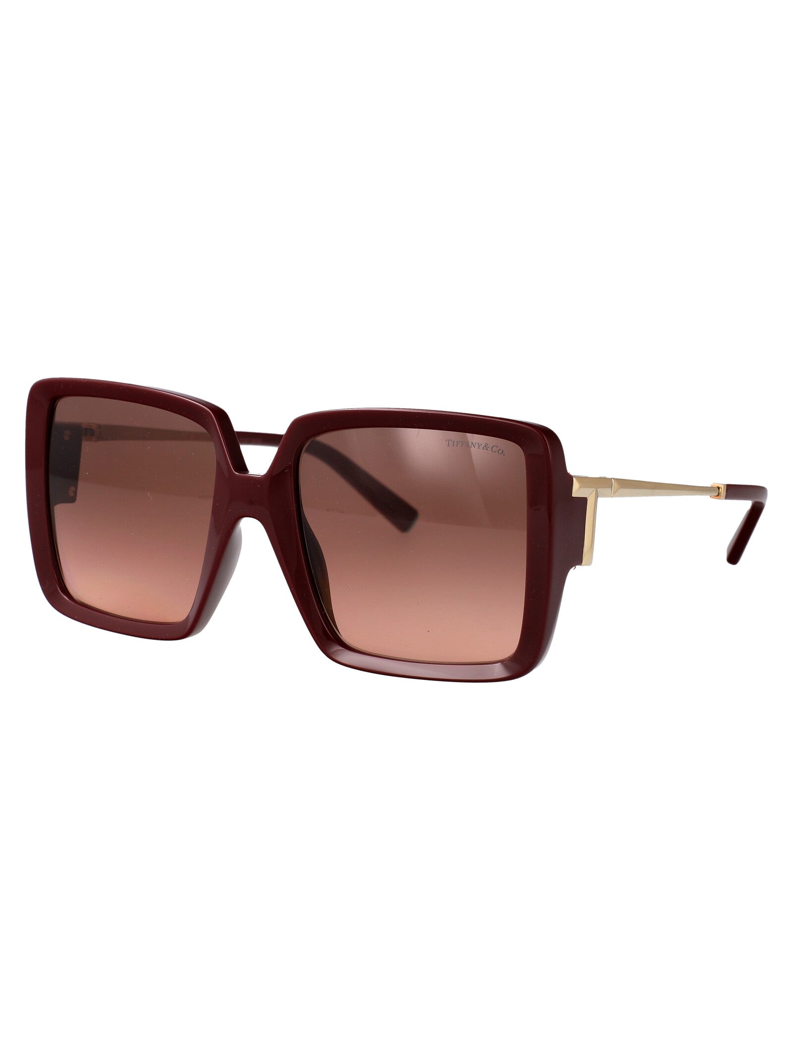 TIFFANY & CO Injected Sunglasses for Women - SS25 Collection