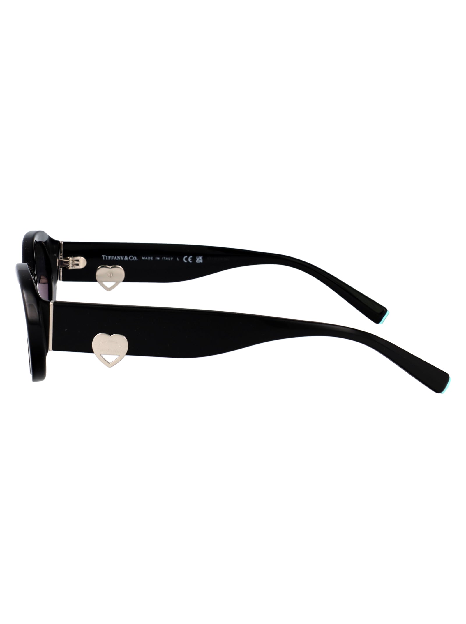 TIFFANY & CO Chic Acetate Sunglasses for Women