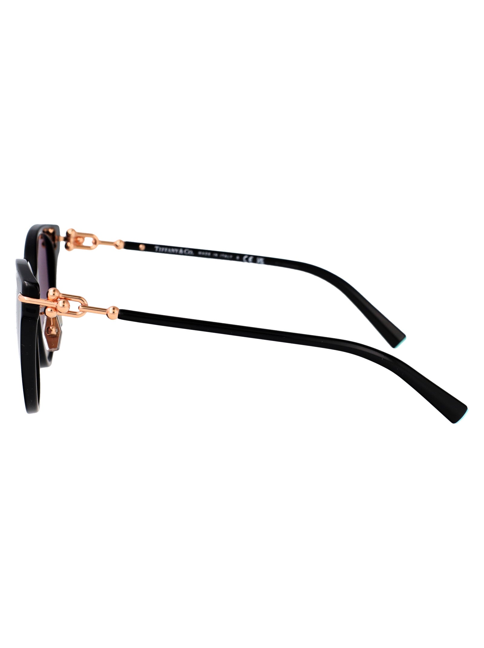 TIFFANY & CO Chic Acetate Sunglasses for Women