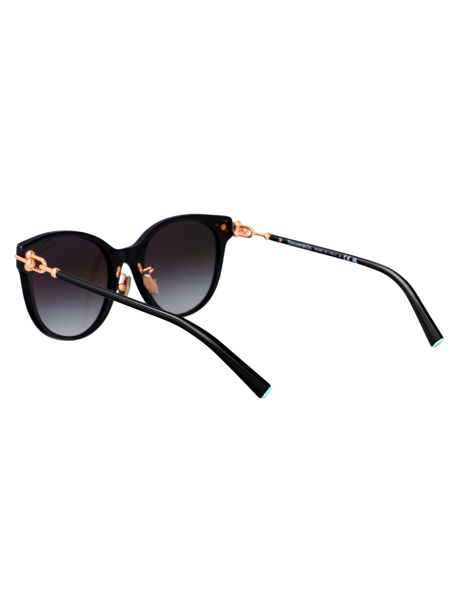 TIFFANY & CO Chic Acetate Sunglasses for Women