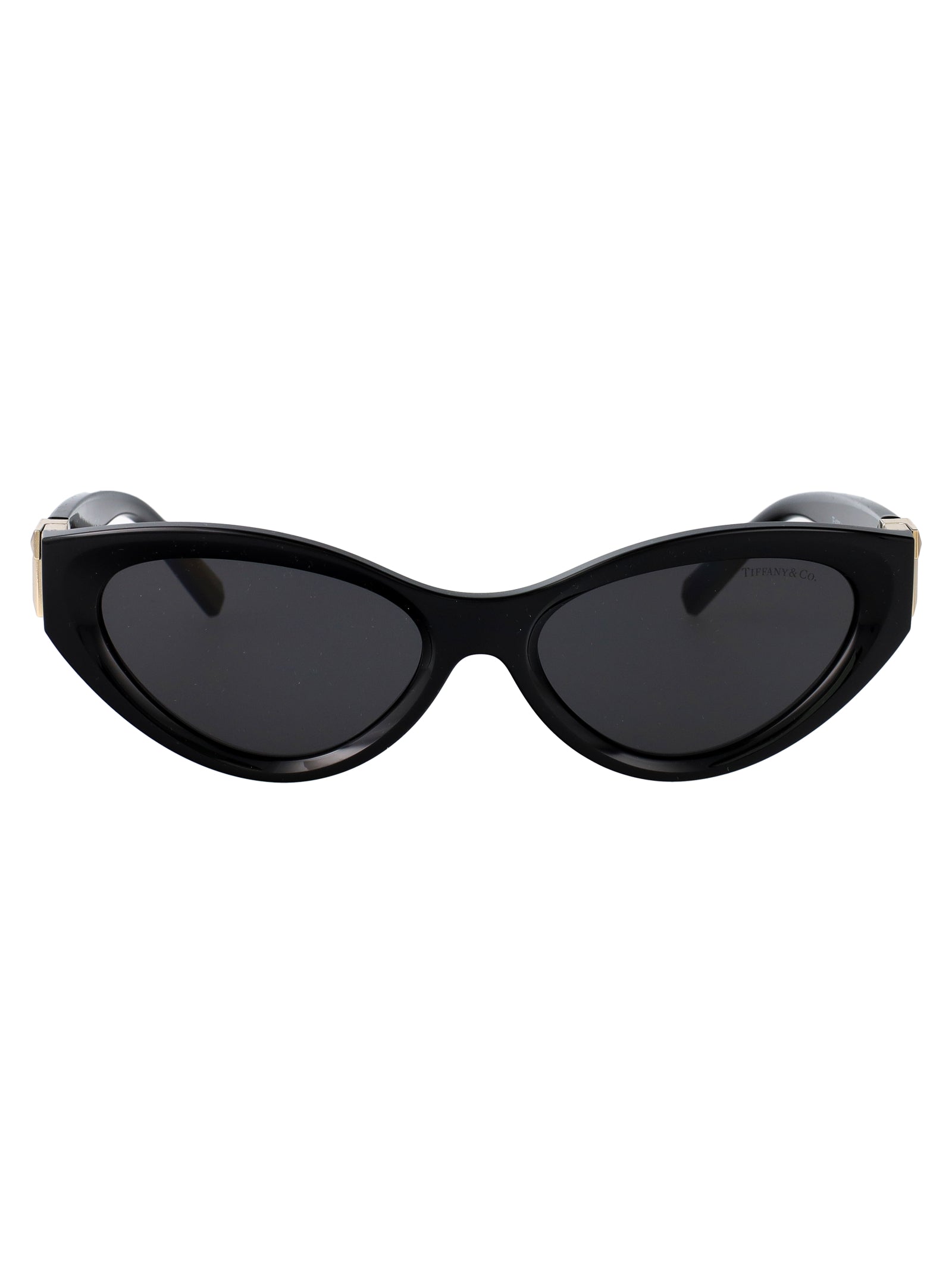 TIFFANY & CO Injected Women's Sunglasses