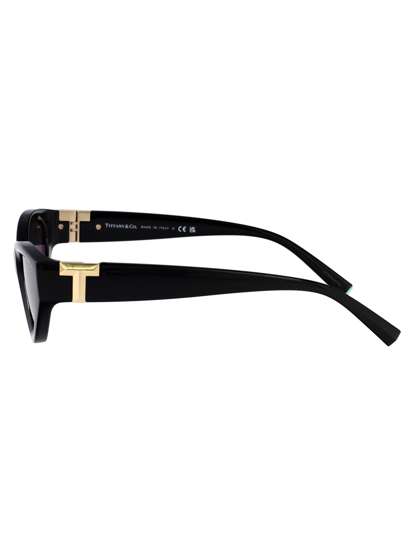 TIFFANY & CO Injected Women's Sunglasses