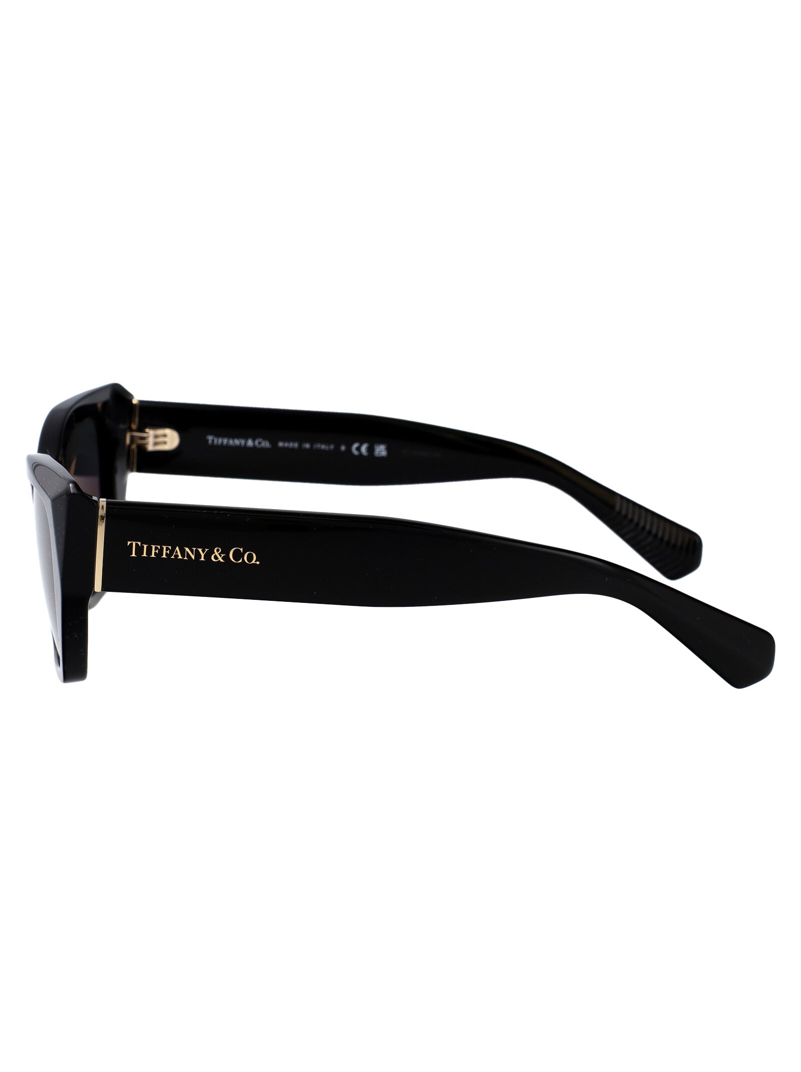 TIFFANY & CO Chic Acetate Sunglasses for Women