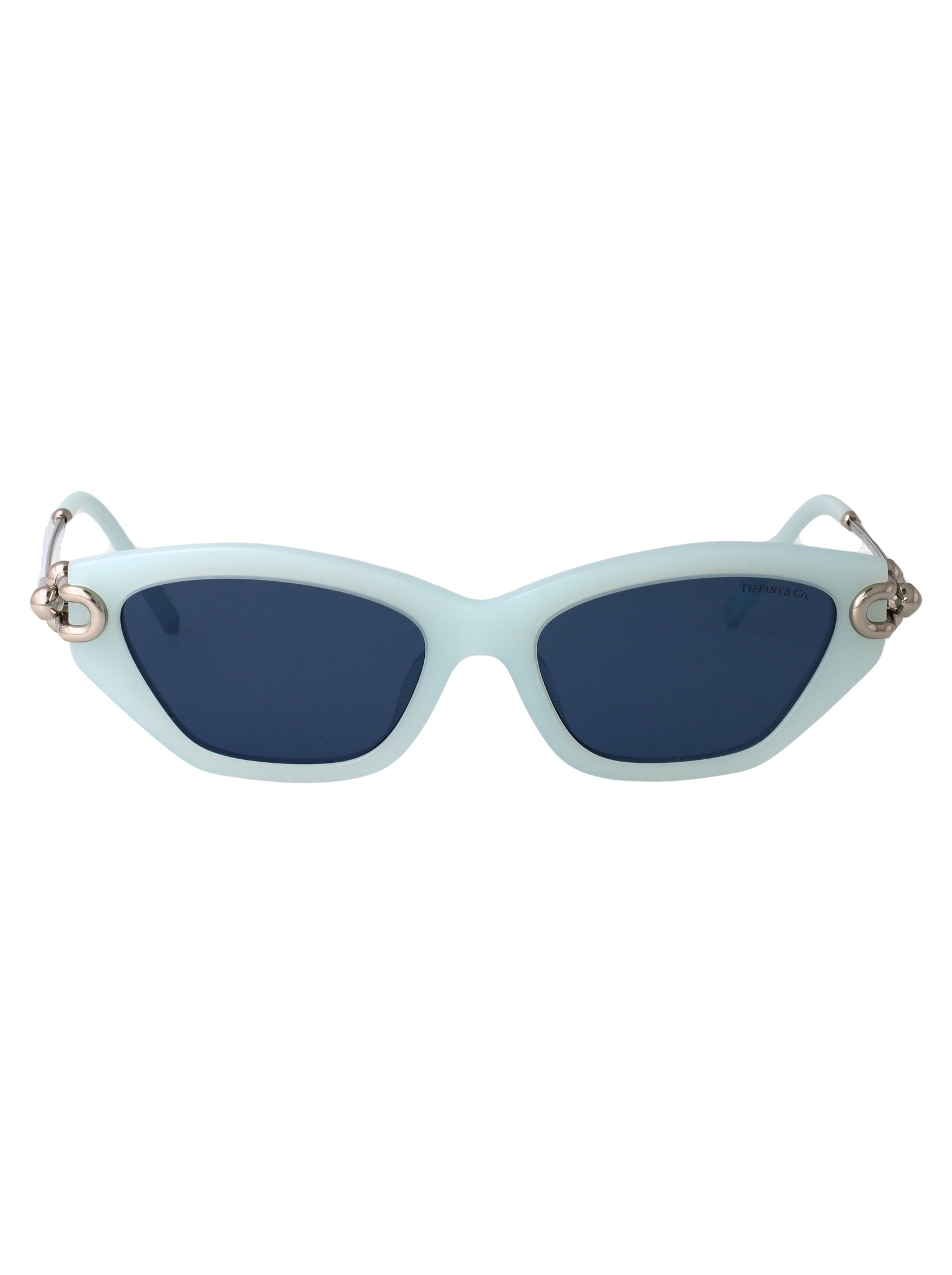 TIFFANY & CO Frosted Acetate Sunglasses for Women