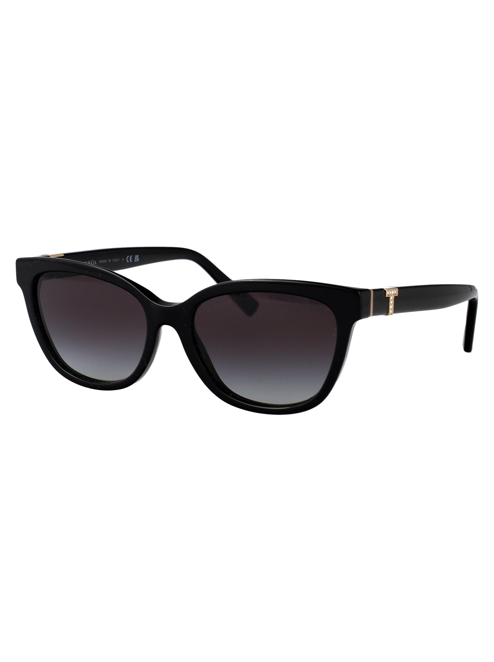 TIFFANY & CO Acetate Women's Sunglasses - SS25 Collection