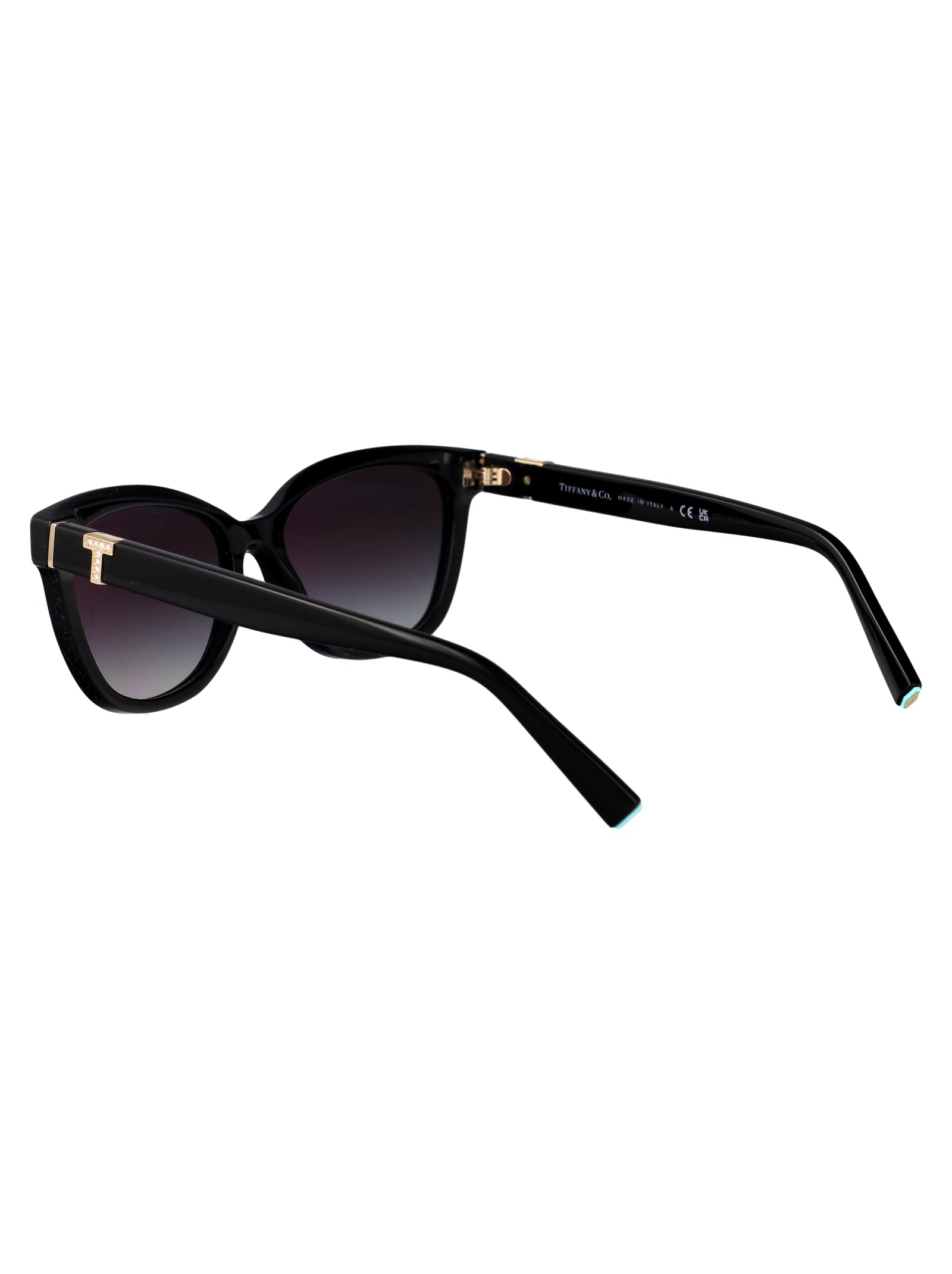 TIFFANY & CO Acetate Women's Sunglasses - SS25 Collection