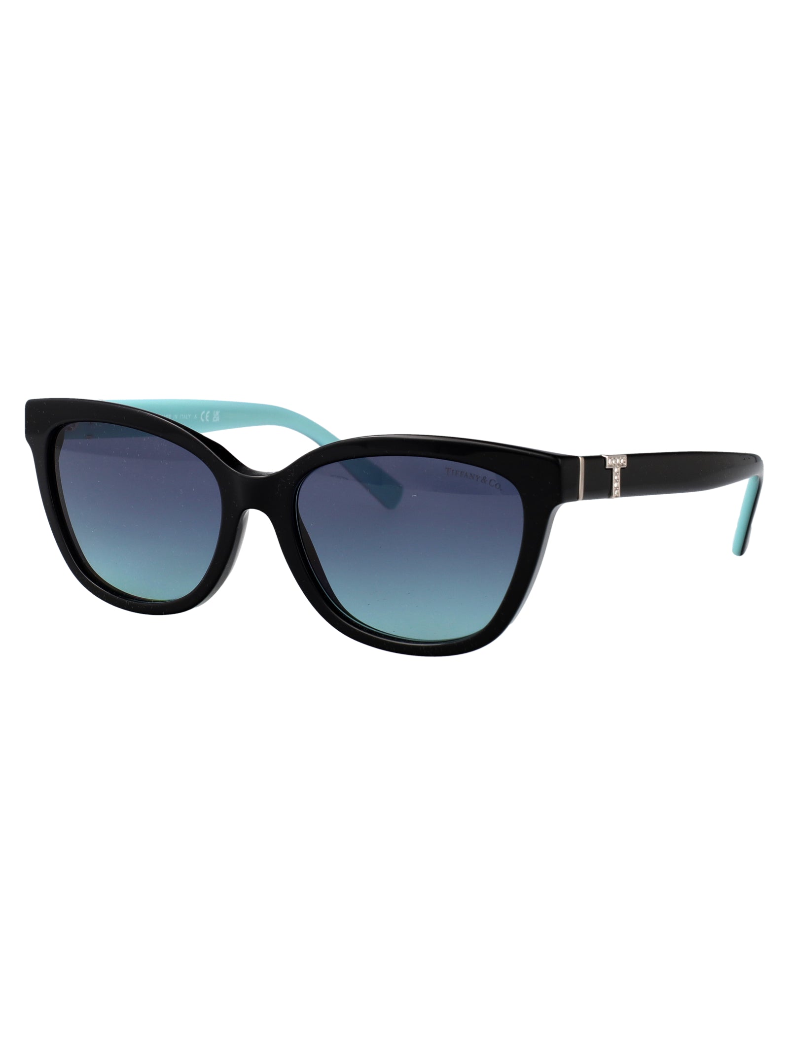 TIFFANY & CO Chic Acetate Sunglasses for Women