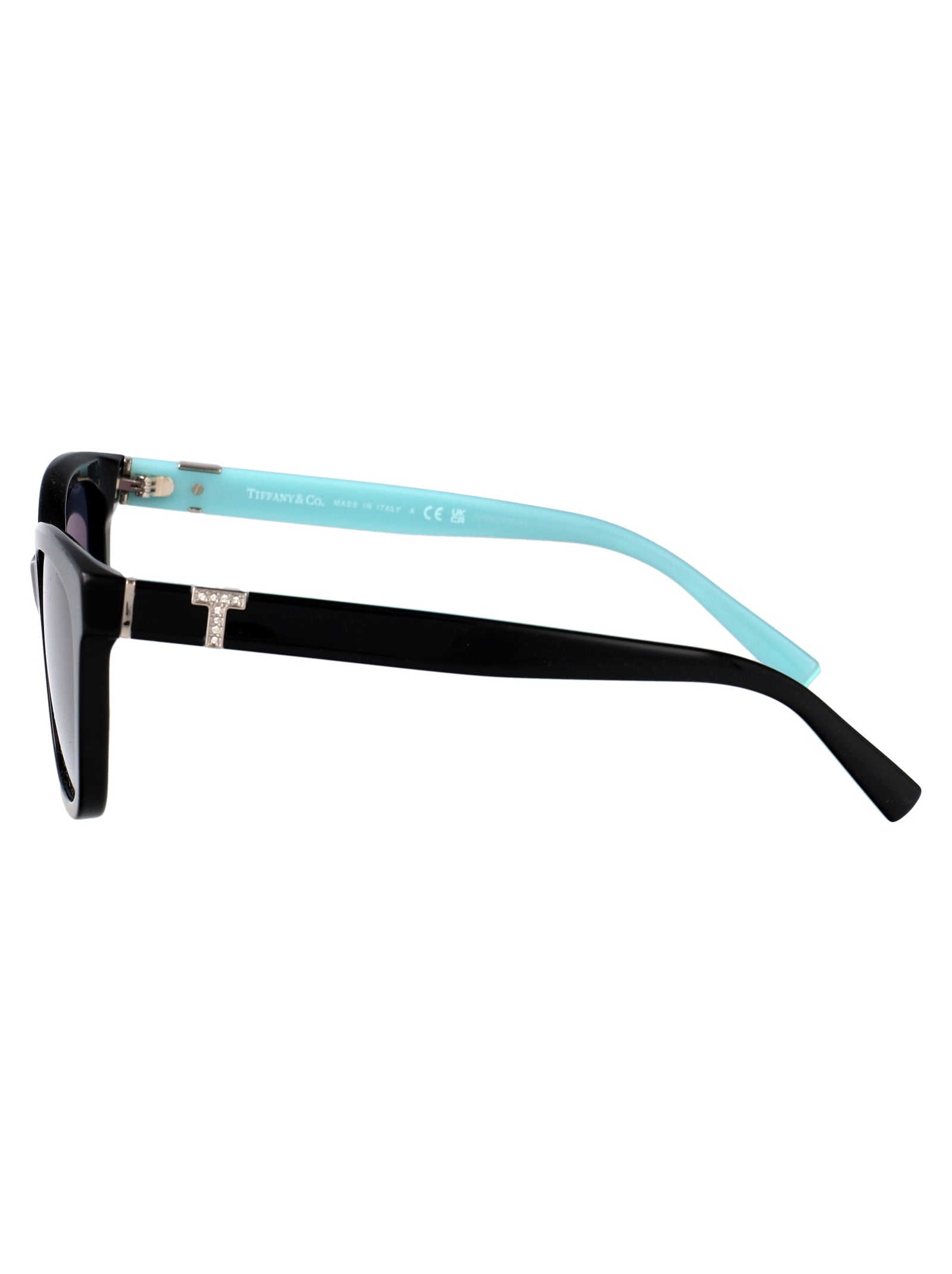 TIFFANY & CO Chic Acetate Sunglasses for Women