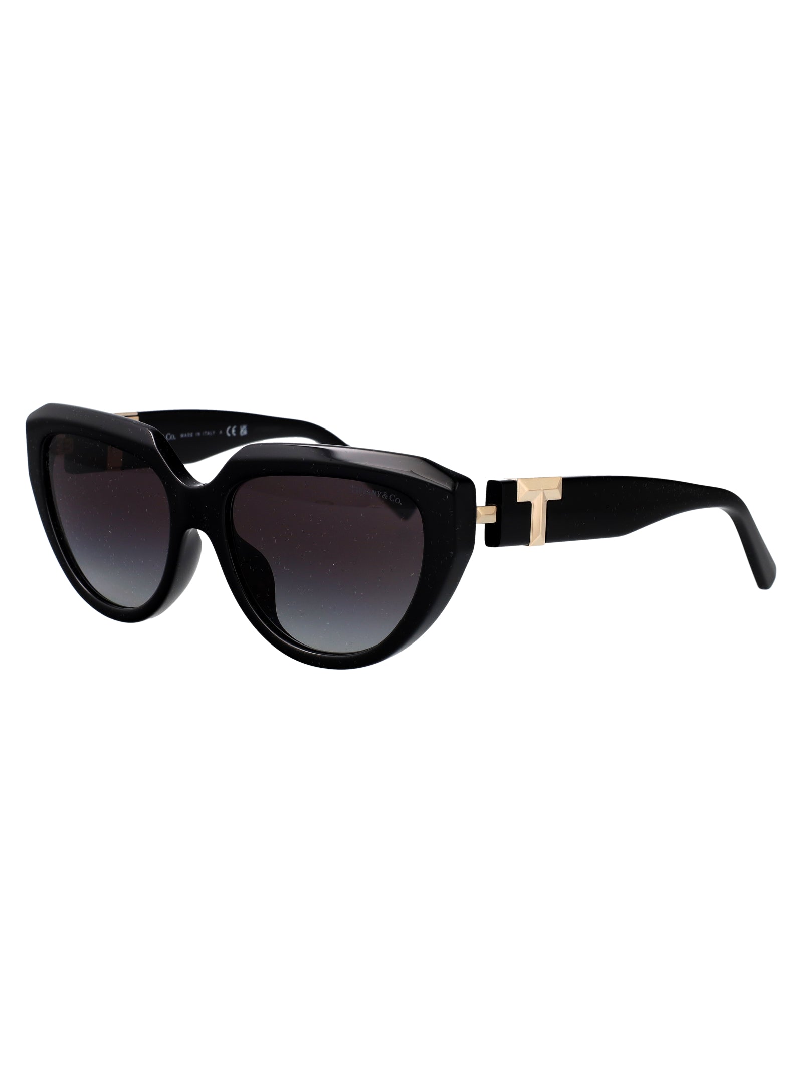 TIFFANY & CO Acetate Sunglasses for Women - FW25 Edition