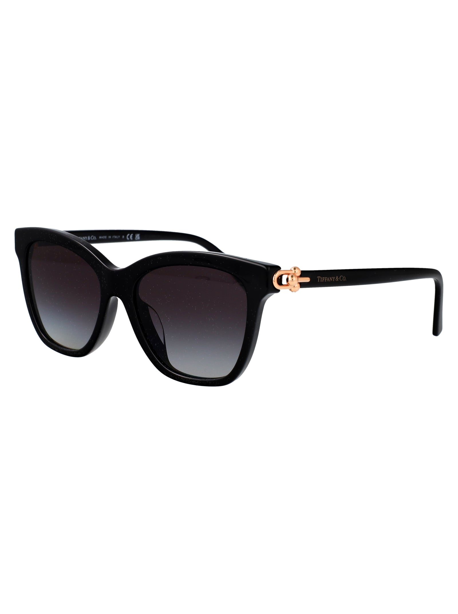 TIFFANY & CO Gradient Acetate Sunglasses for Women