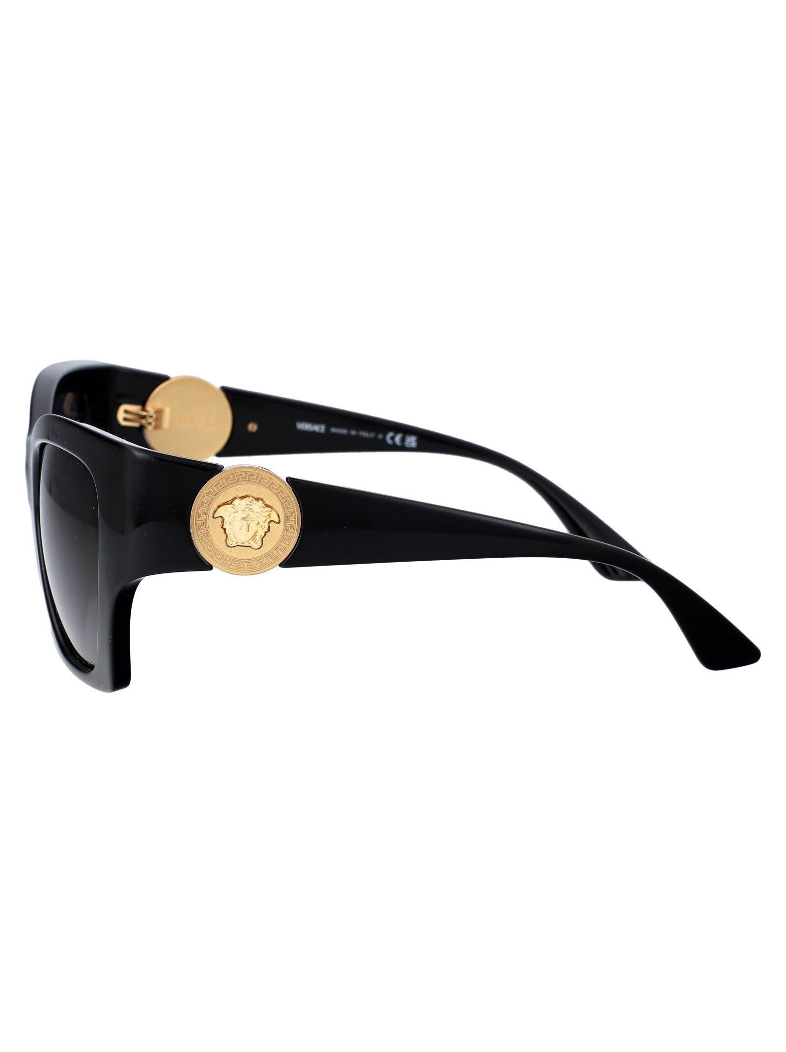 VERSACE Injected Women's Oversized Sunglasses