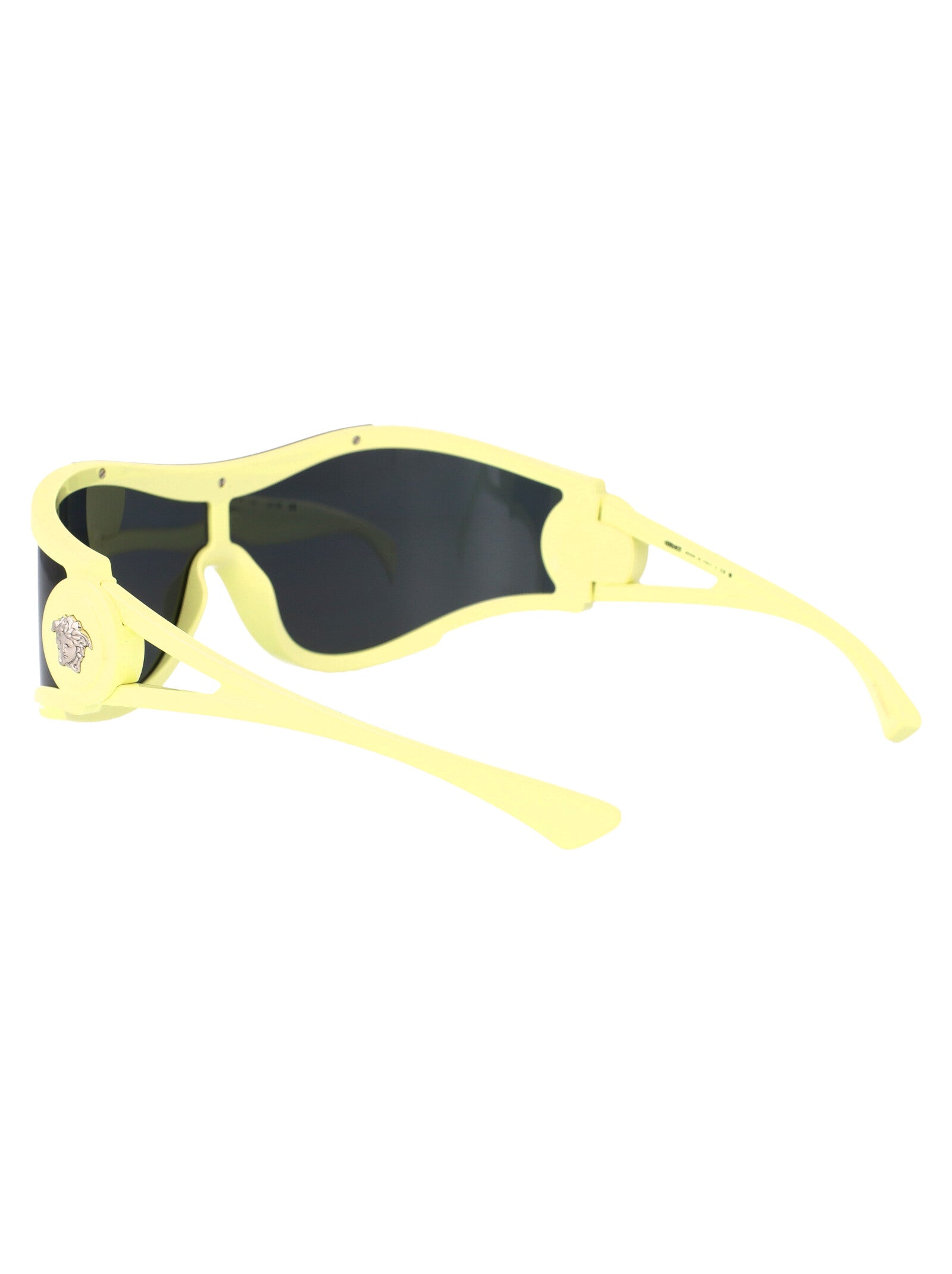 VERSACE Injected Unisex Sunglasses