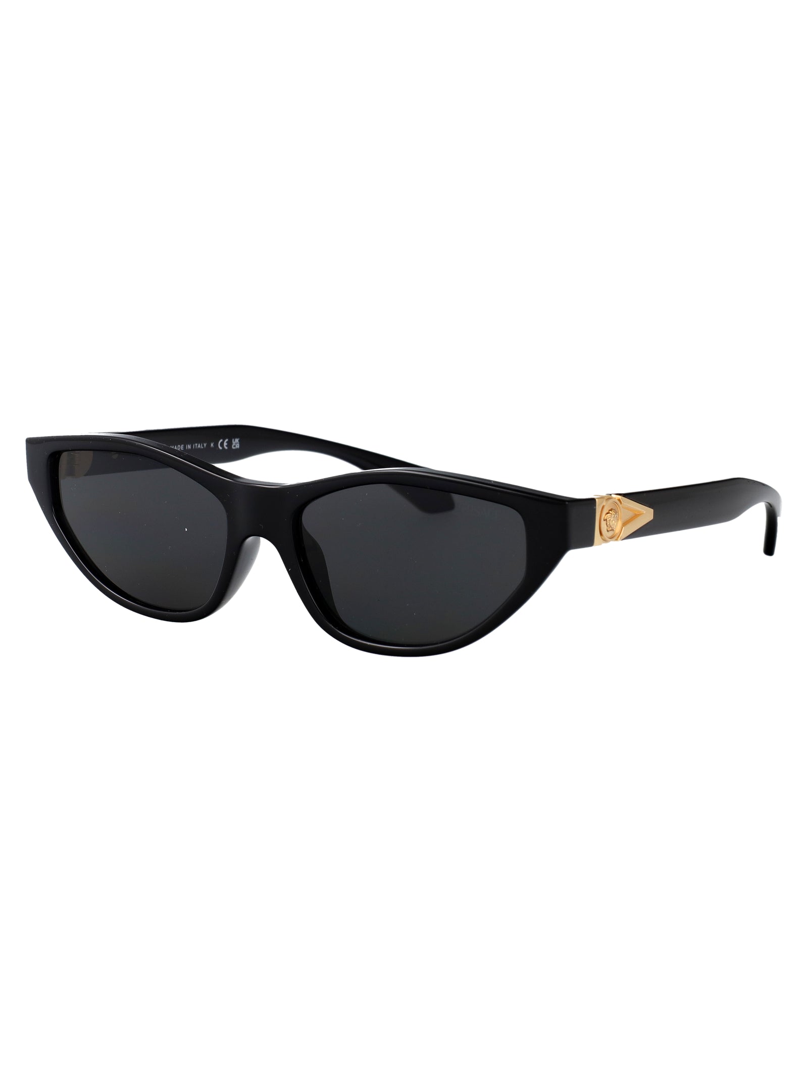 VERSACE Injected Women's Sunglasses