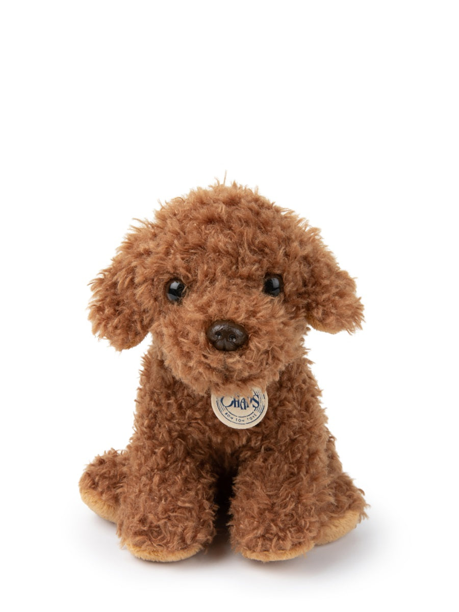 BON TON TOYS Mini Labradoodle in Giftbox