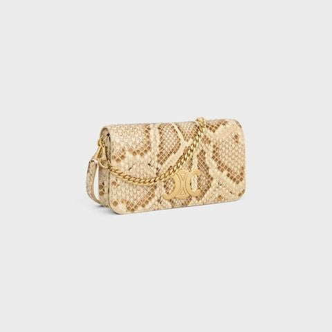 CELINE Python Skin Multi-Pochette for Women - SS25