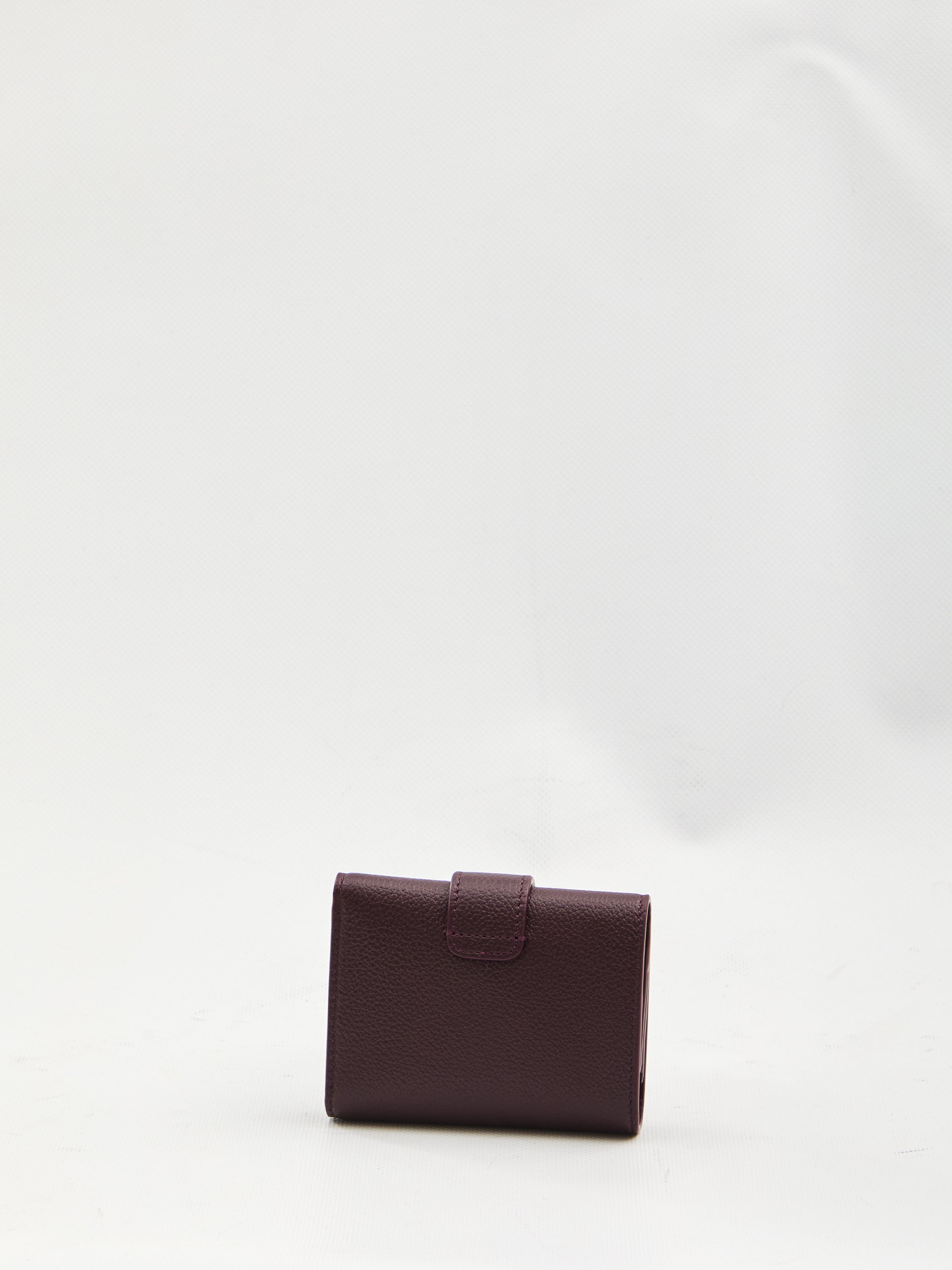 CELINE Triomphe Mini Fine Strap Wallet