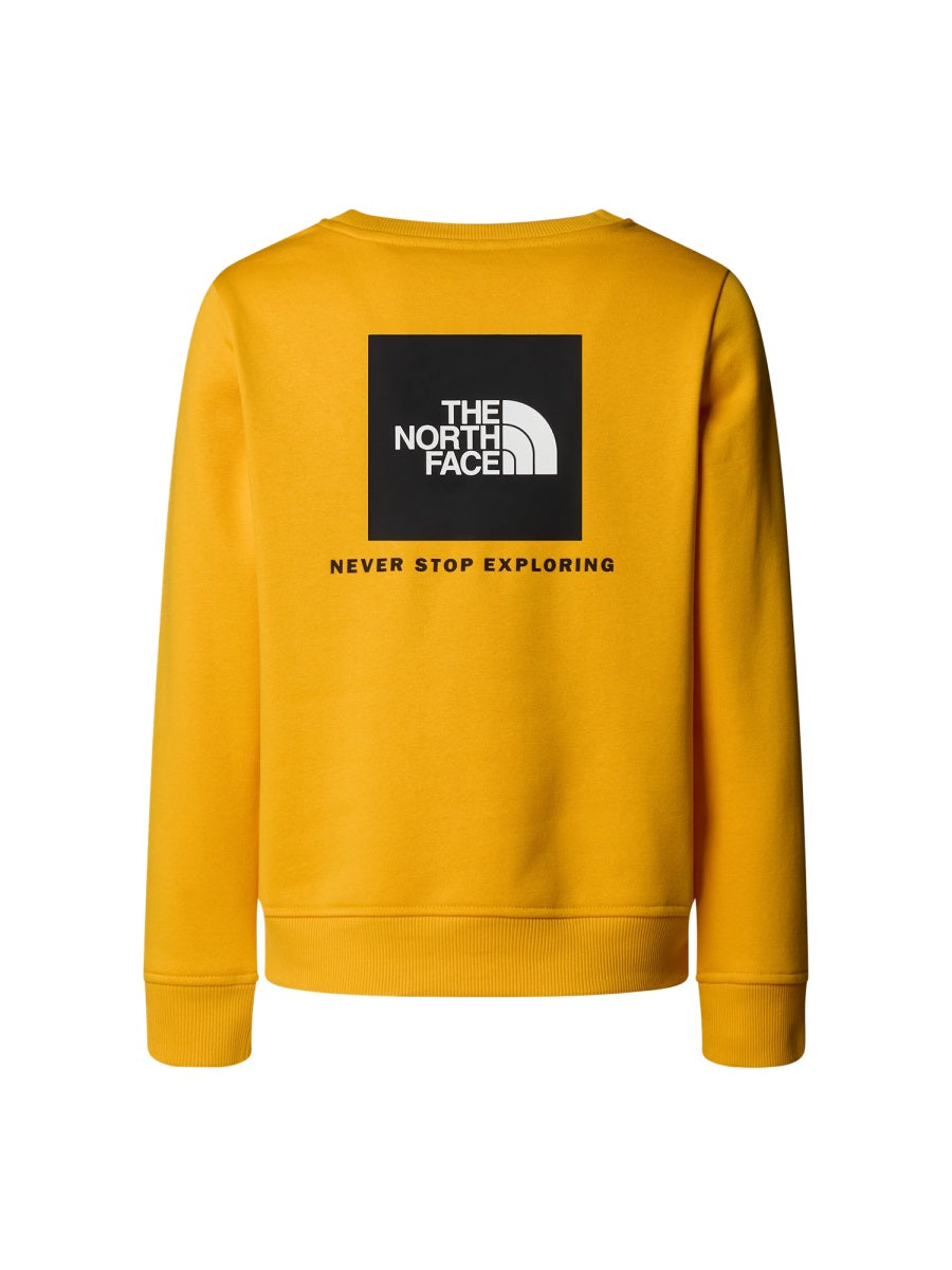 THE NORTH FACE Unisex Crew Logo T-Shirt