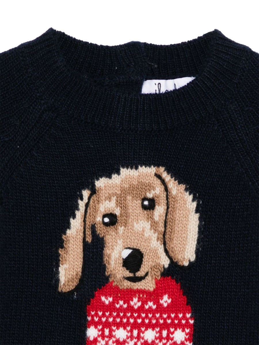 IL GUFO Mini Dog Graphic Wool Sweater