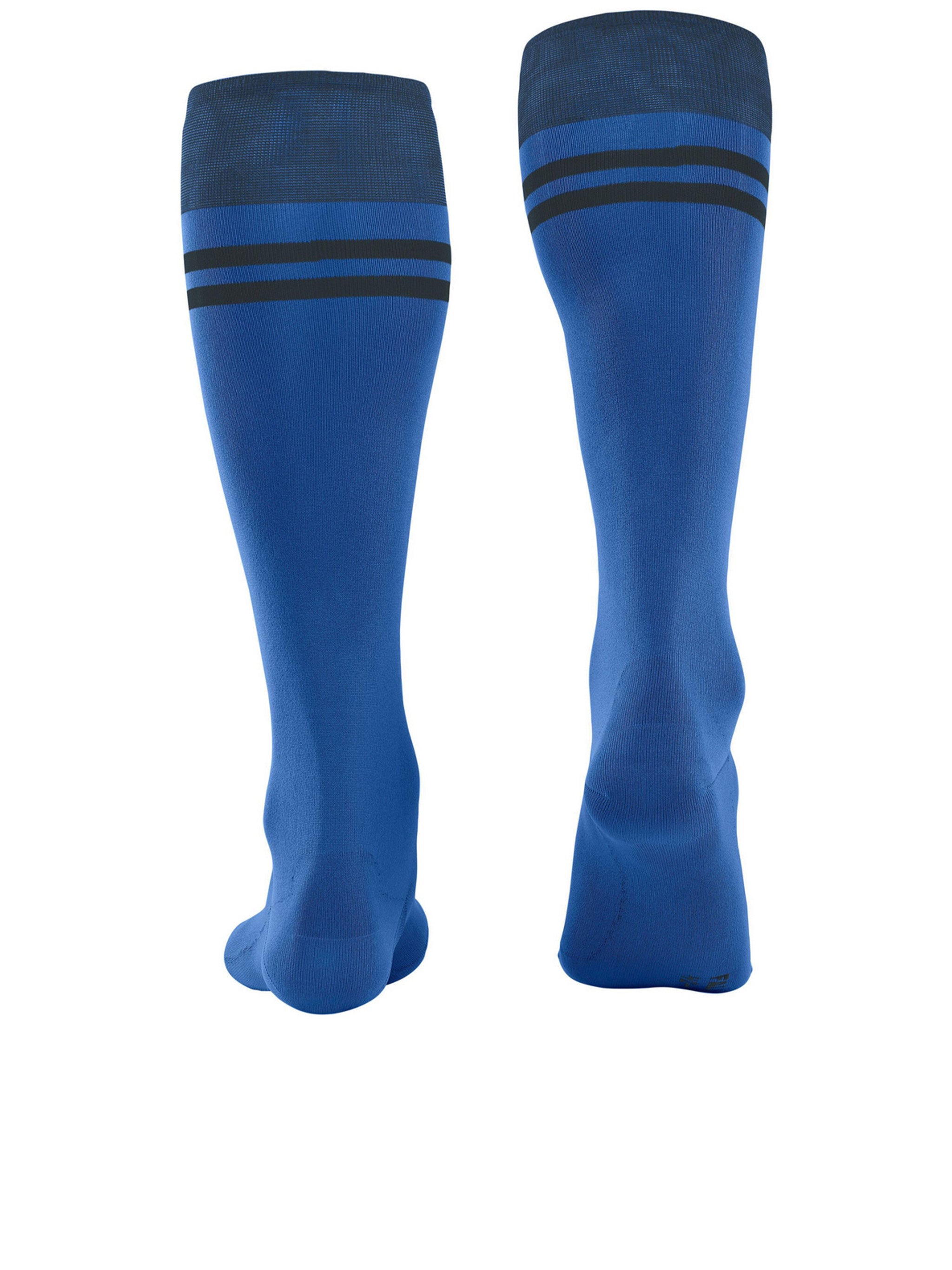 FALKE Race Performance Socks