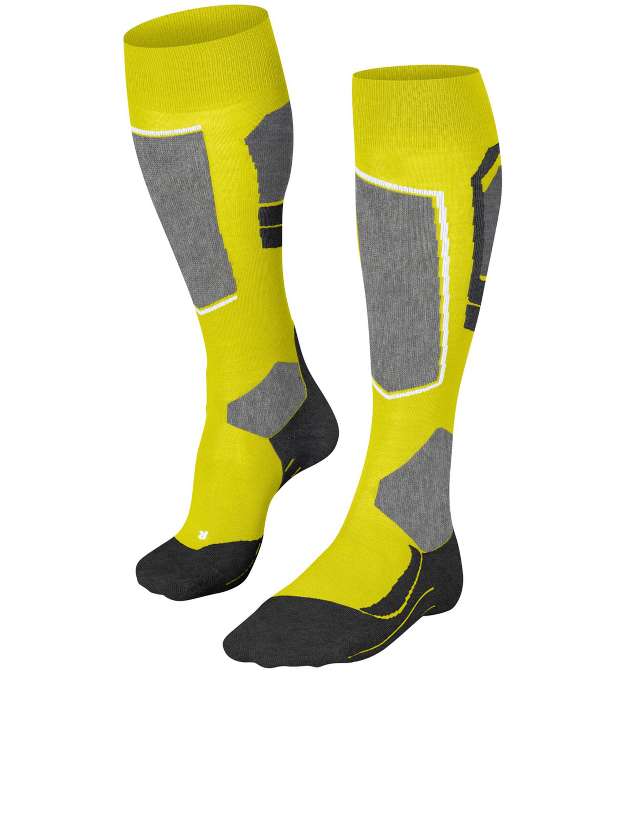 FALKE Men's Premium Wool Blend Socks - FW25 Collection