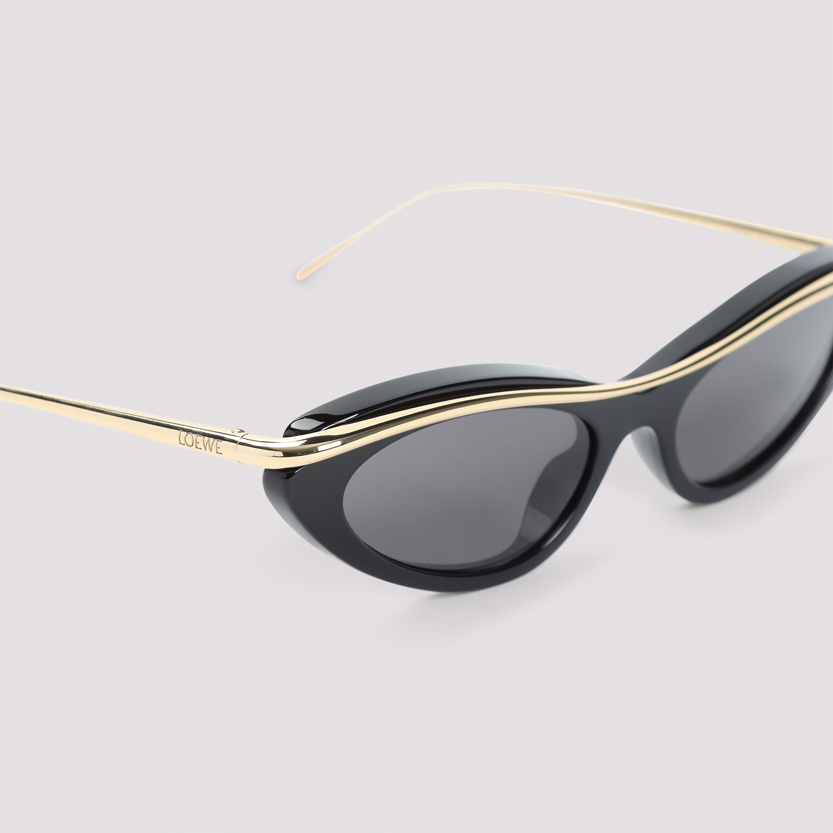 LOEWE EYEWEAR Acetate Sunglasses for Men - FW25 Collection