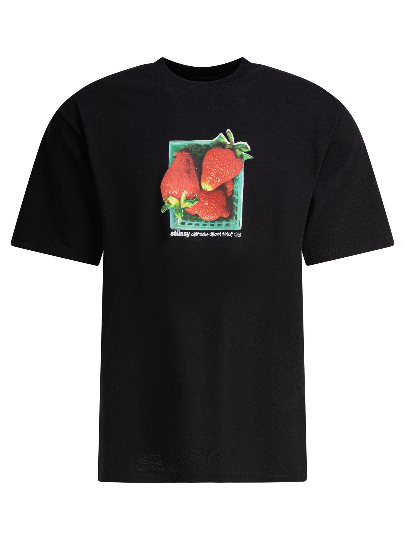 STUSSY Berries Graphic Mini Tee for Men