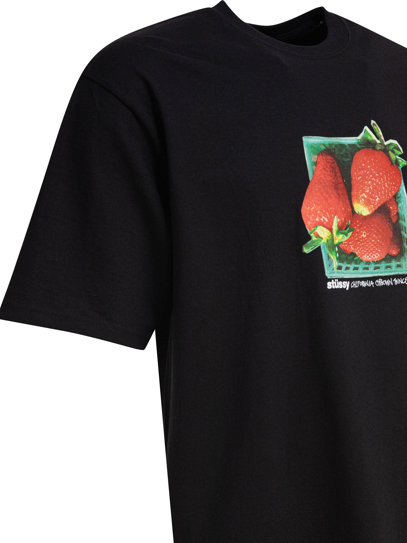 STUSSY Berries Graphic Mini Tee for Men