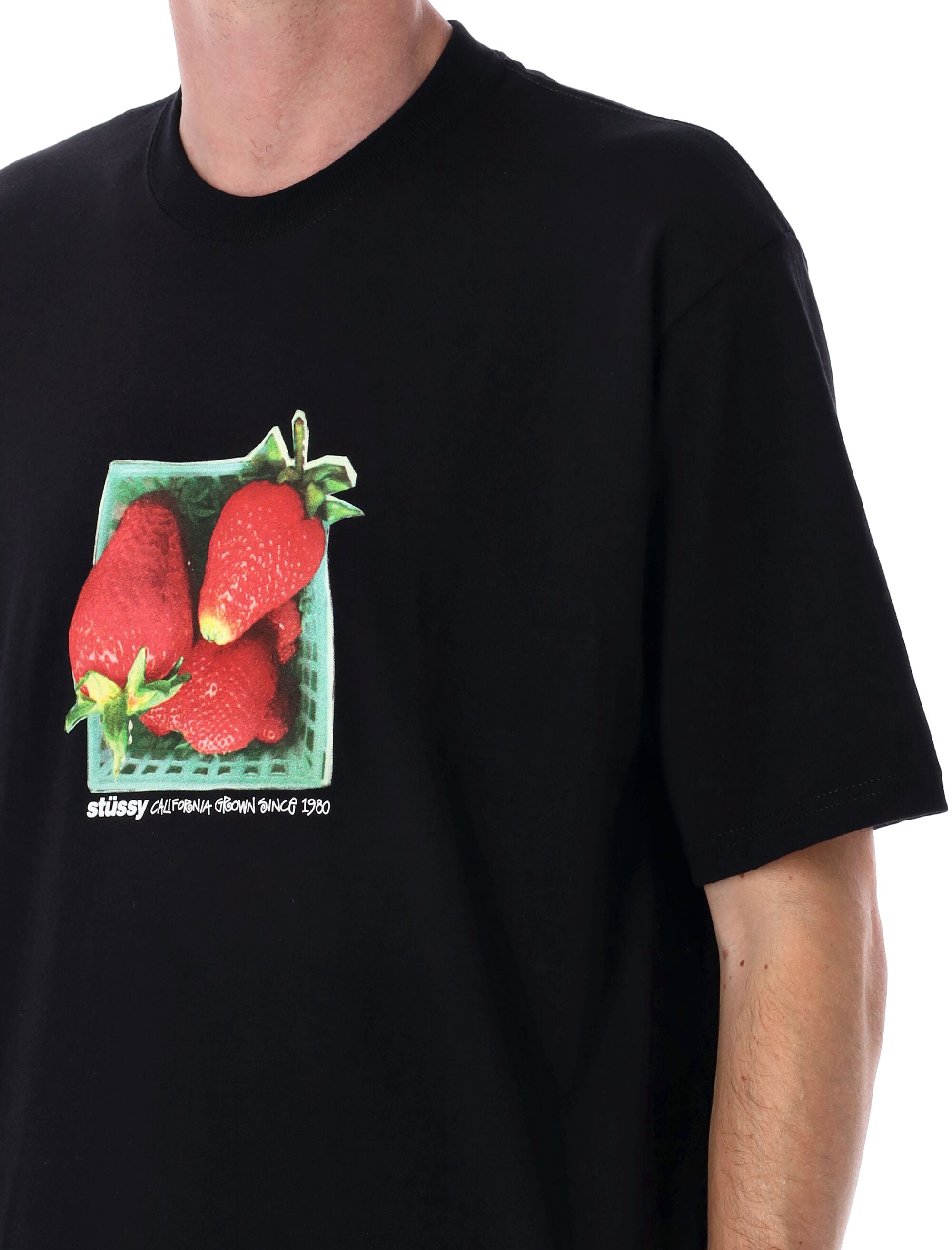 STUSSY Berries Tee - Relaxed Fit, Size L