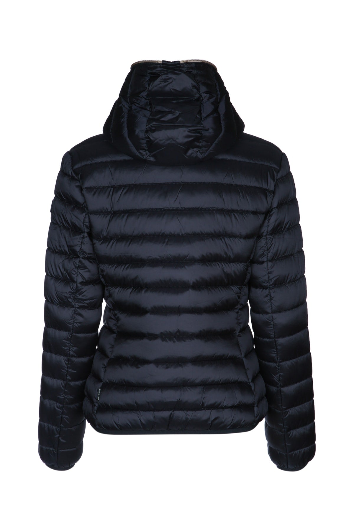 SAVE THE DUCK Elevated Winter Jacket for Women