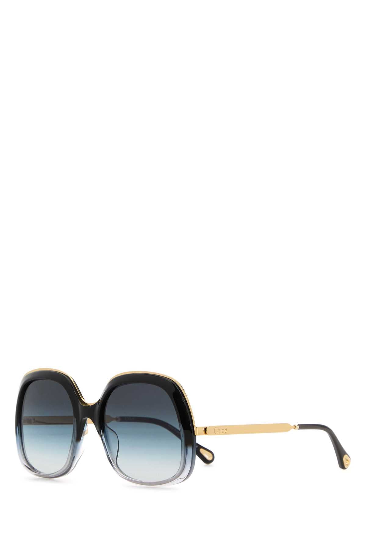 CHLOE Stylish Acetate Sunglasses 56