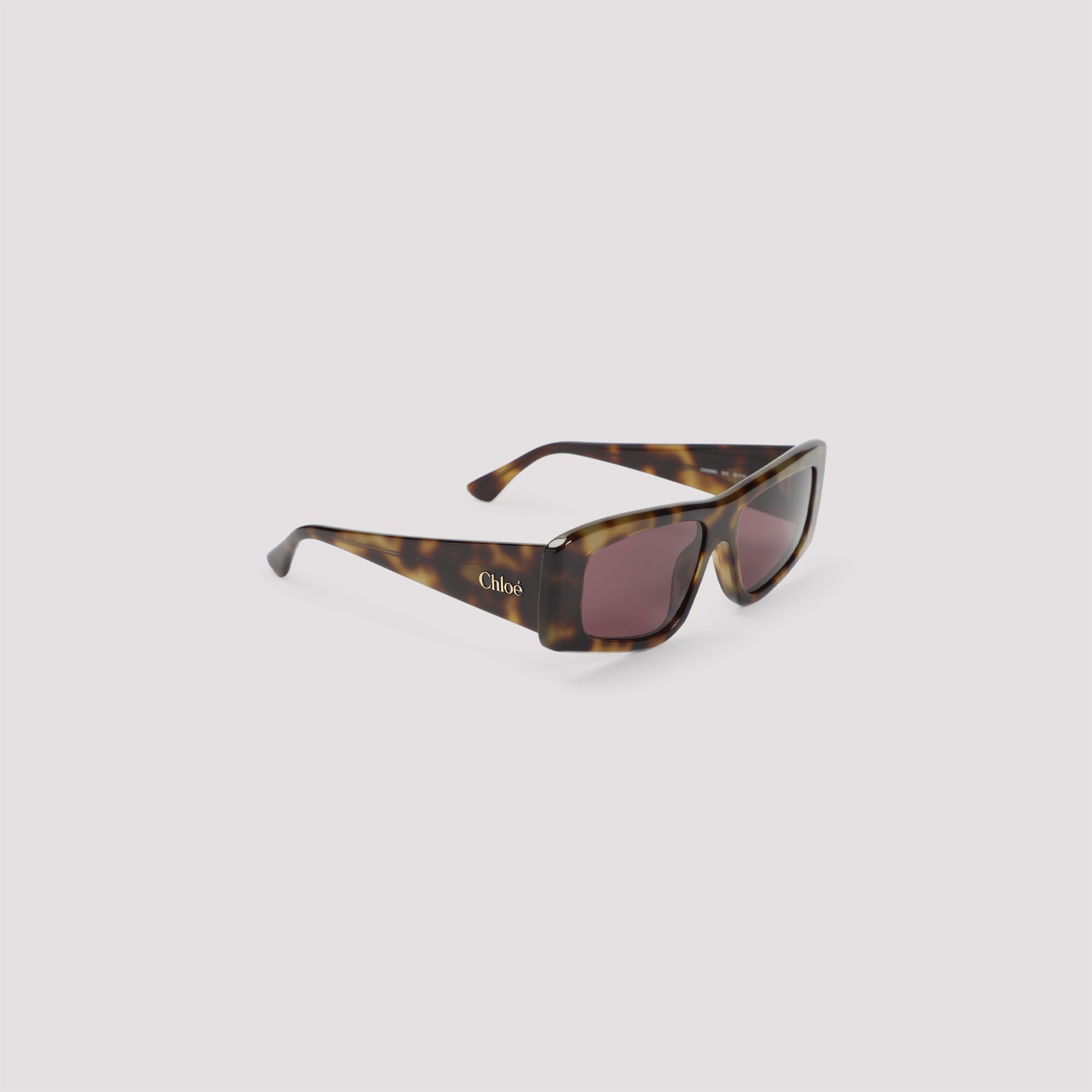 CHLOE EYEWEAR Fashion Forward Acetate Sunglasses for Men