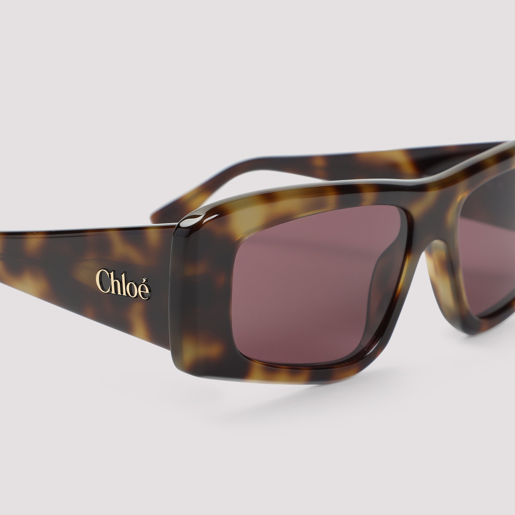 CHLOE EYEWEAR Fashion Forward Acetate Sunglasses for Men