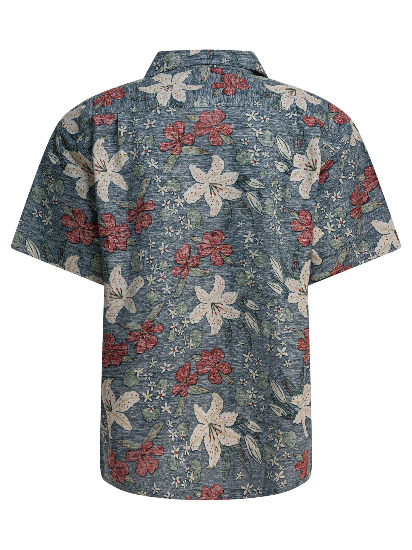 MONTBELL Men's Regular Fit Camp Collar Shirt